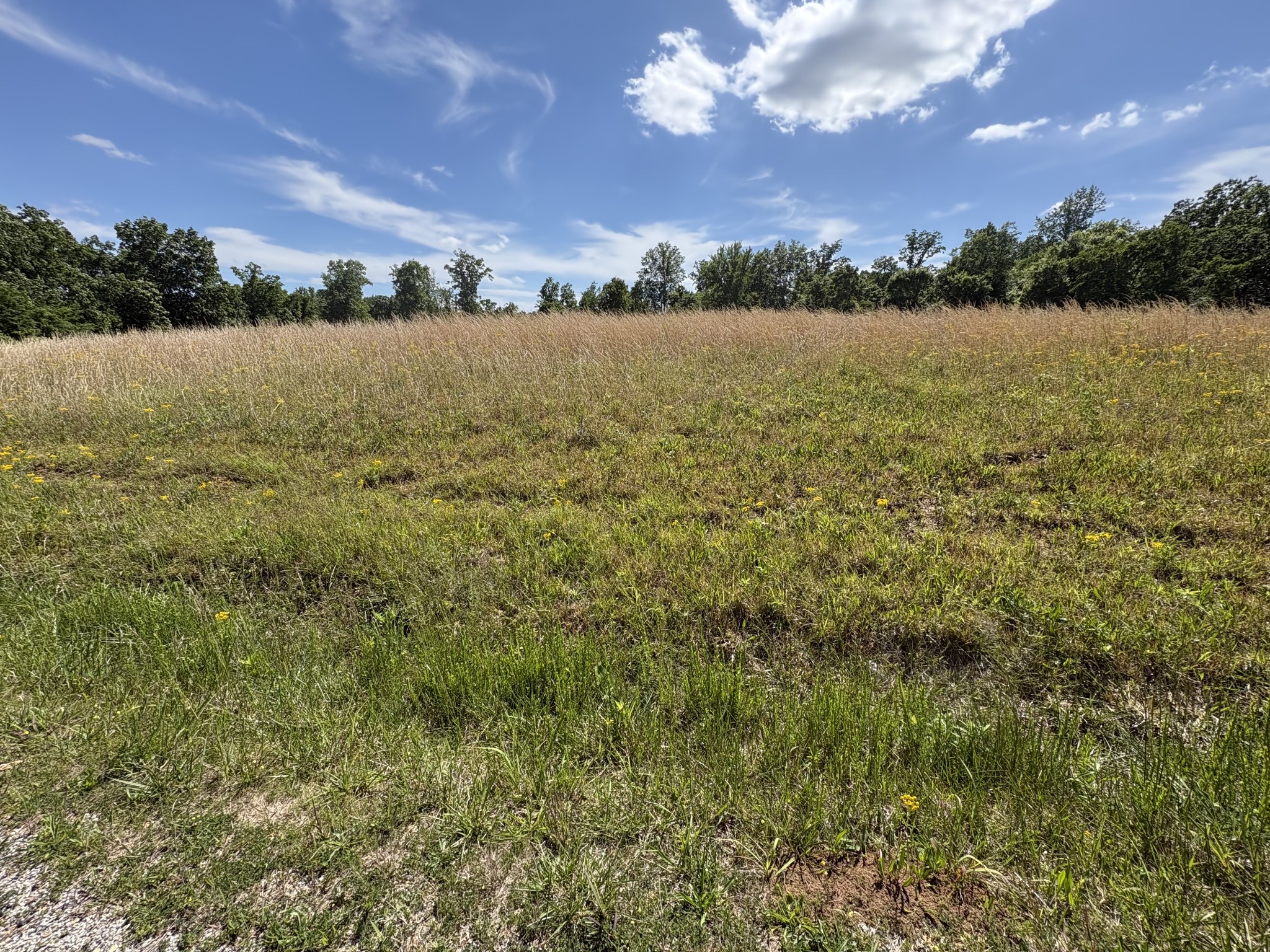 0 Chestnut Grove Rd