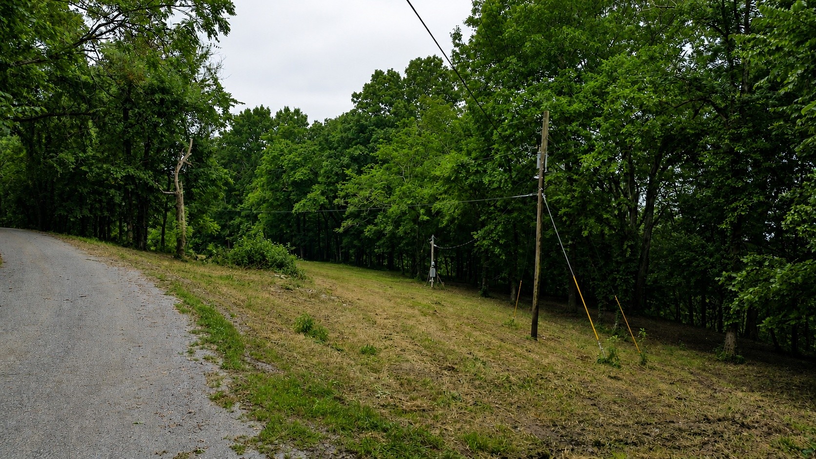 1299 Dixon Town Rd