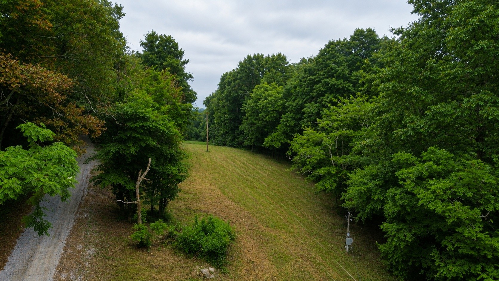 1299 Dixon Town Rd