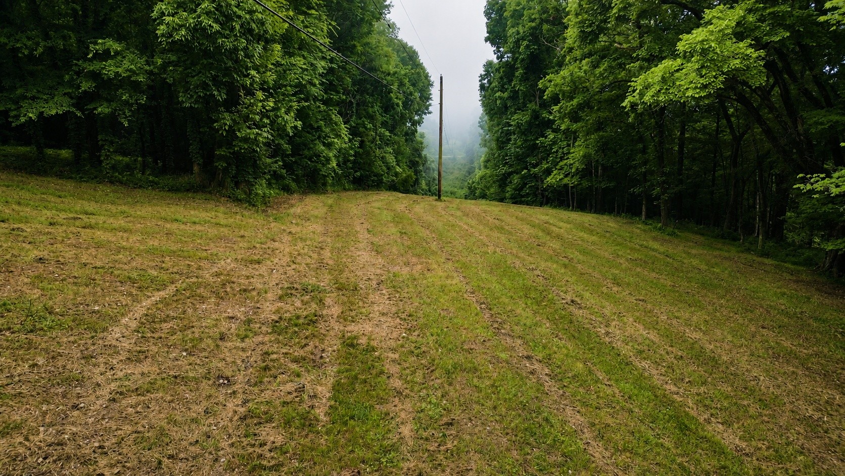 1299 Dixon Town Rd