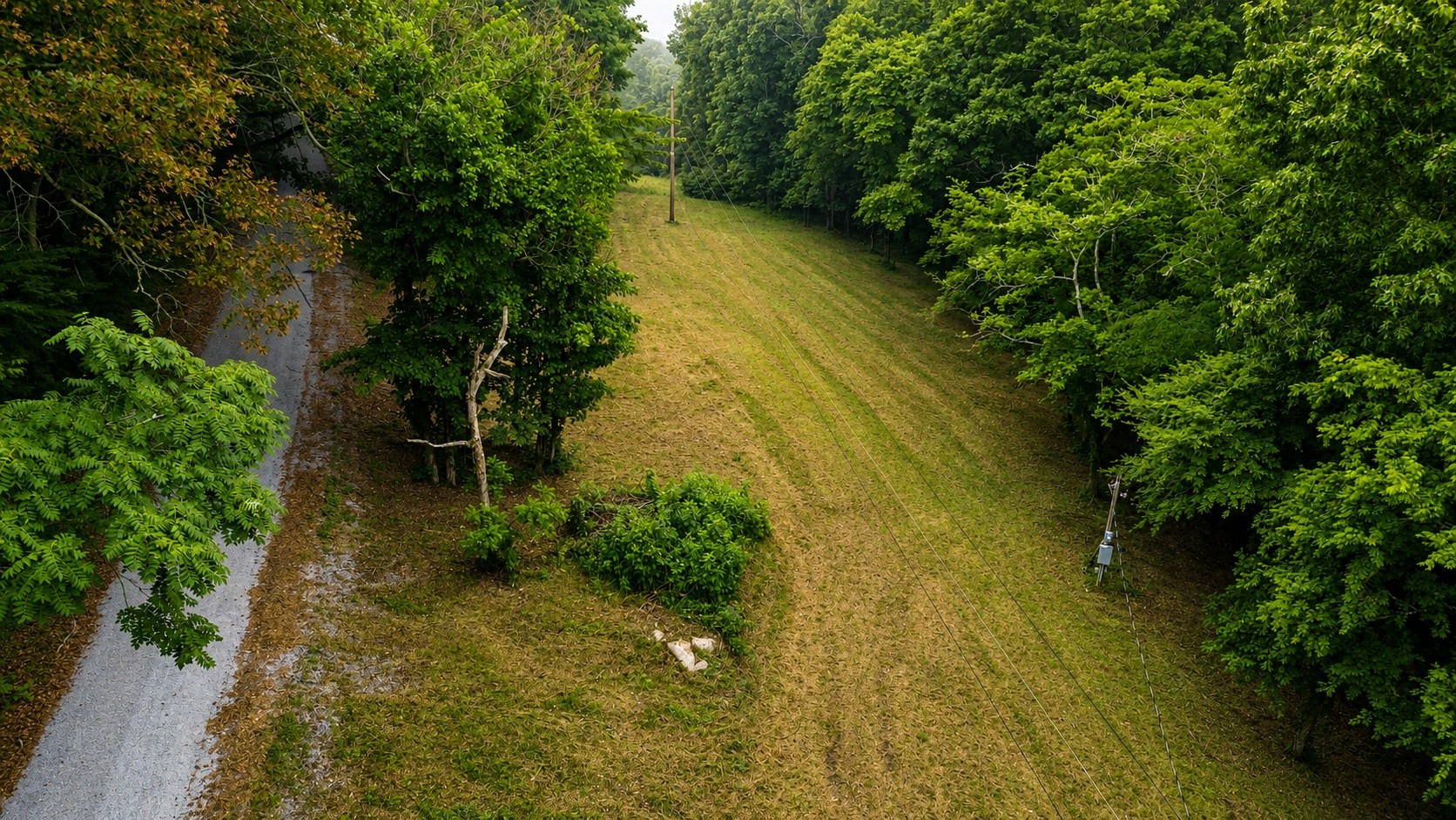1299 Dixon Town Rd