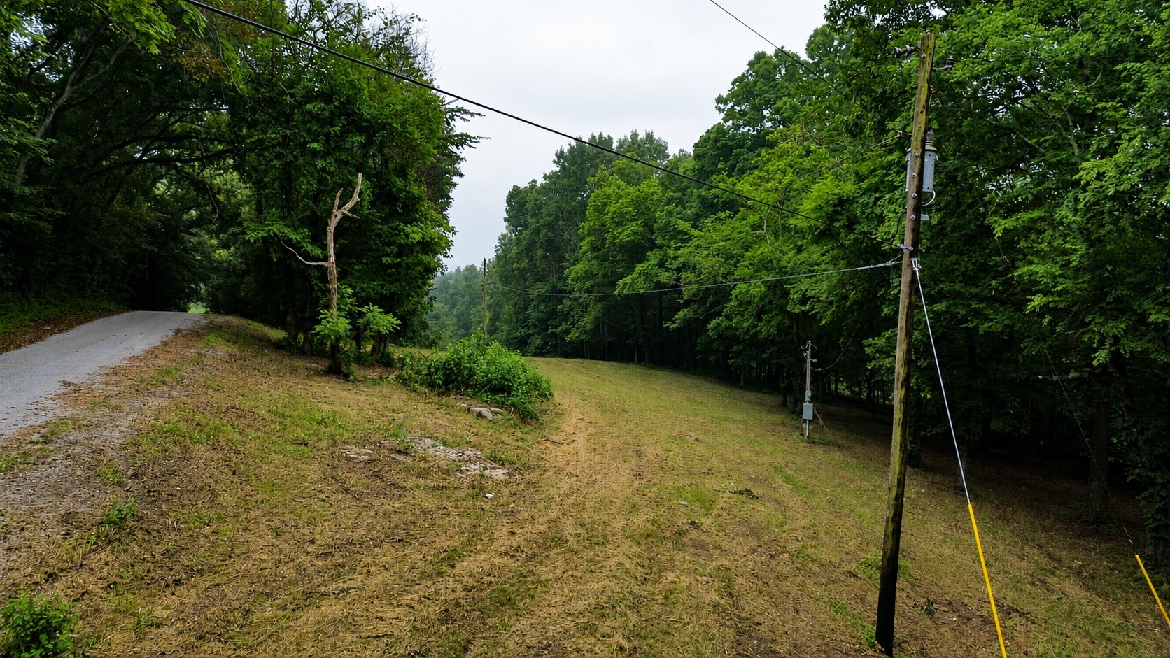 1299 Dixon Town Rd