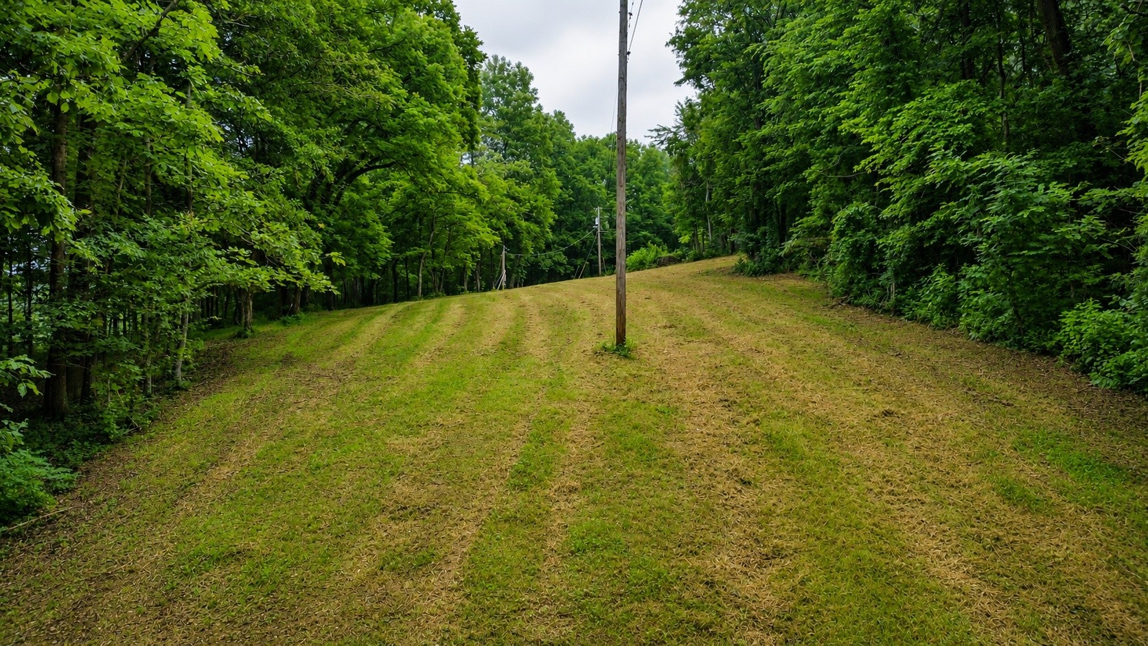 1299 Dixon Town Rd