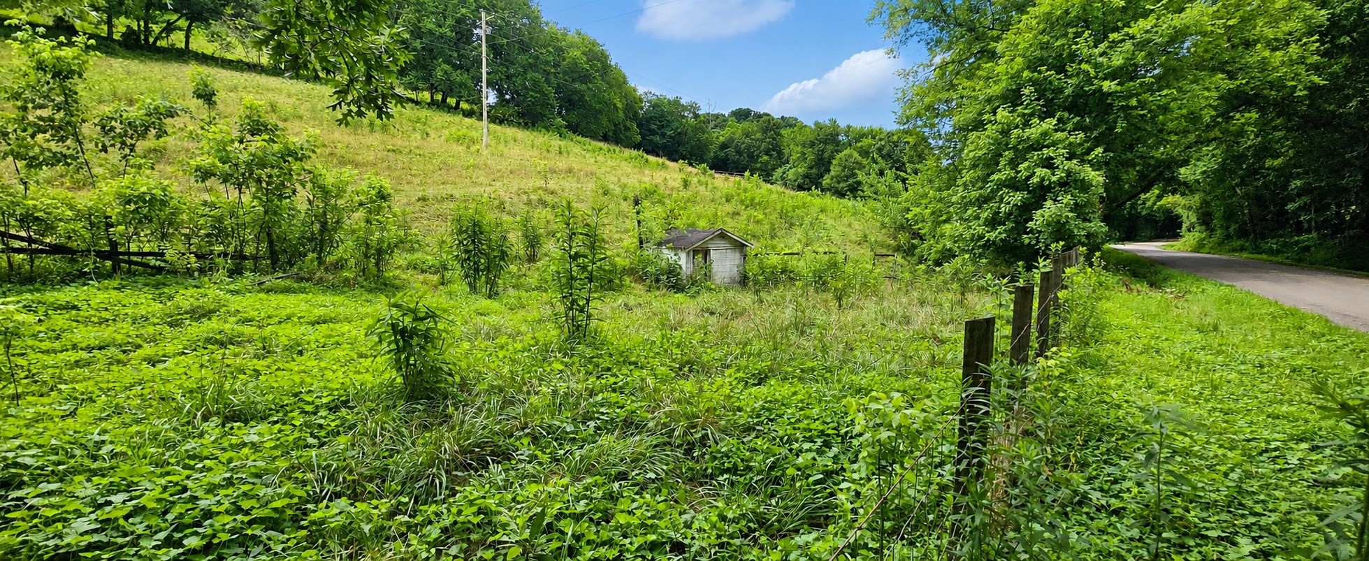 2039 Blackburn Hollow Rd