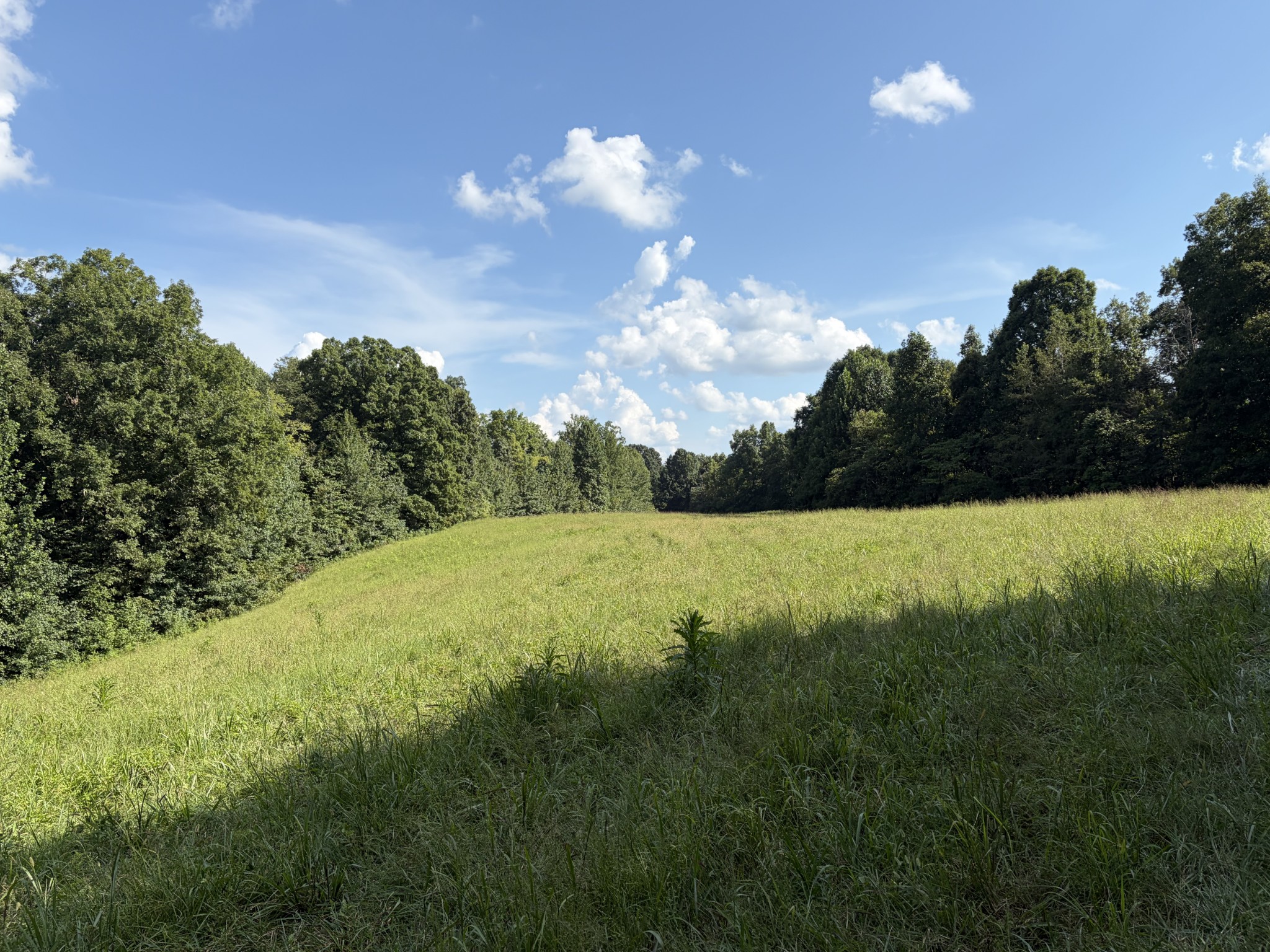 1448 Williams Hollow Rd