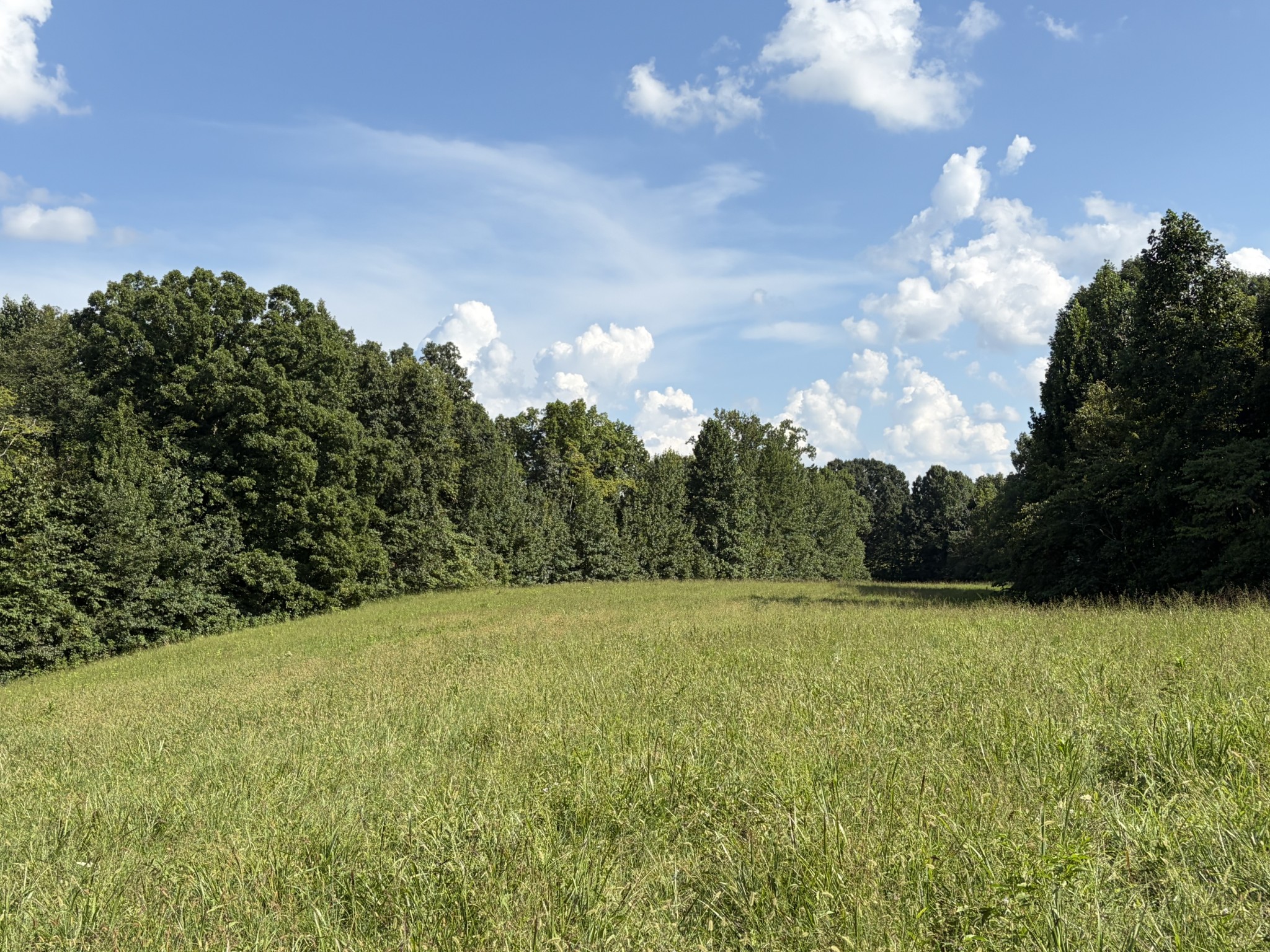 1448 Williams Hollow Rd