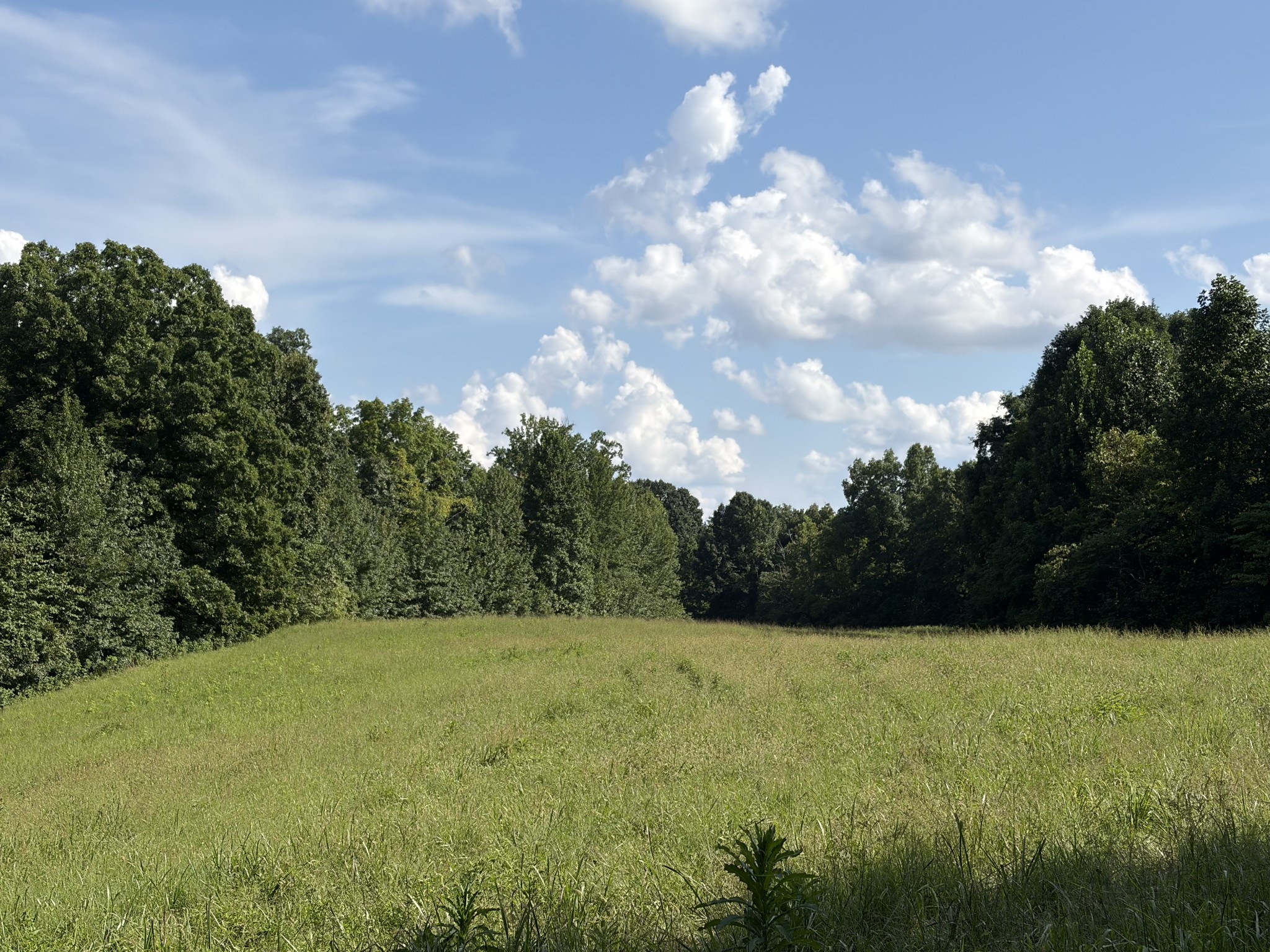1448 Williams Hollow Rd