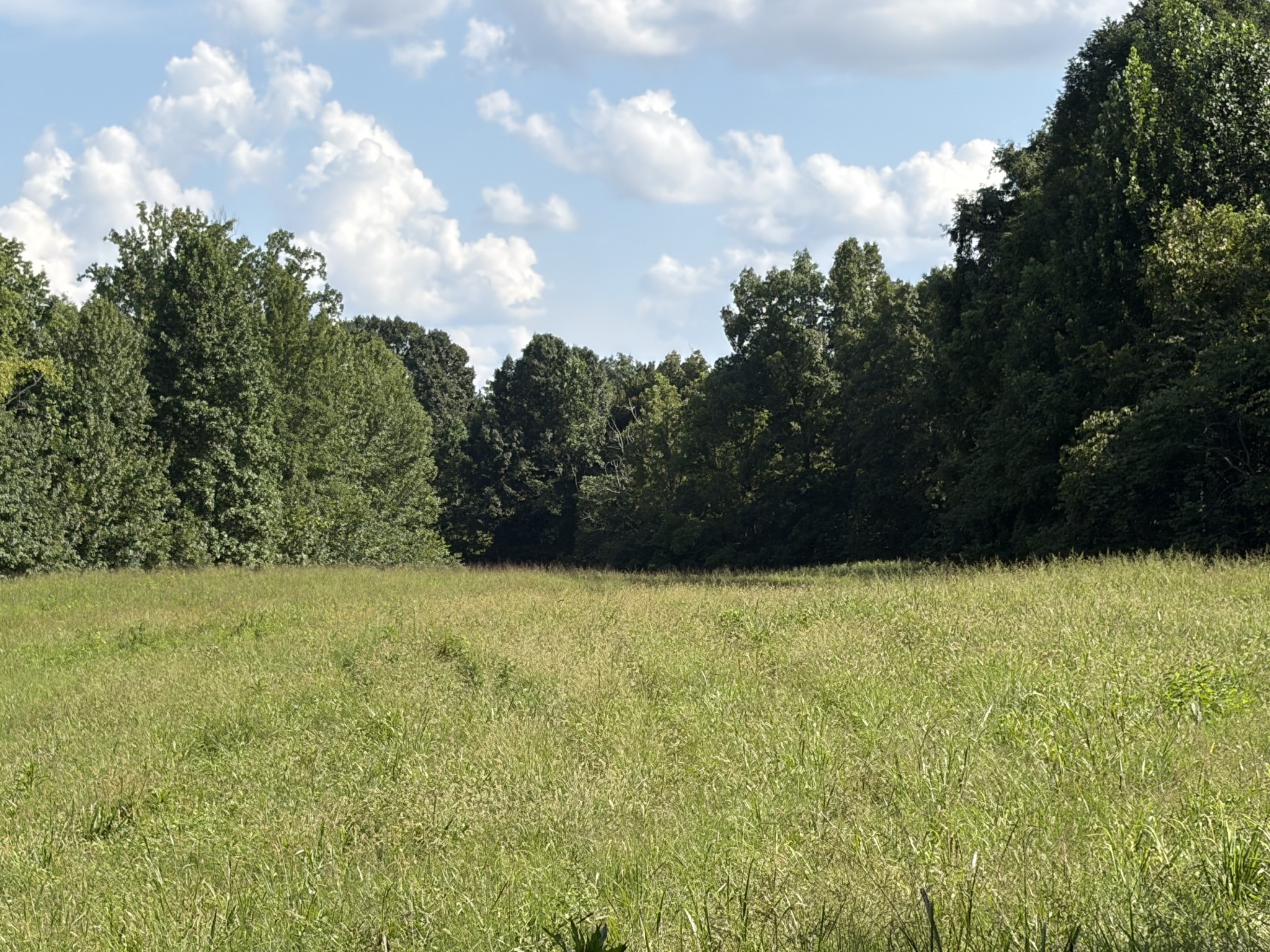 1448 Williams Hollow Rd