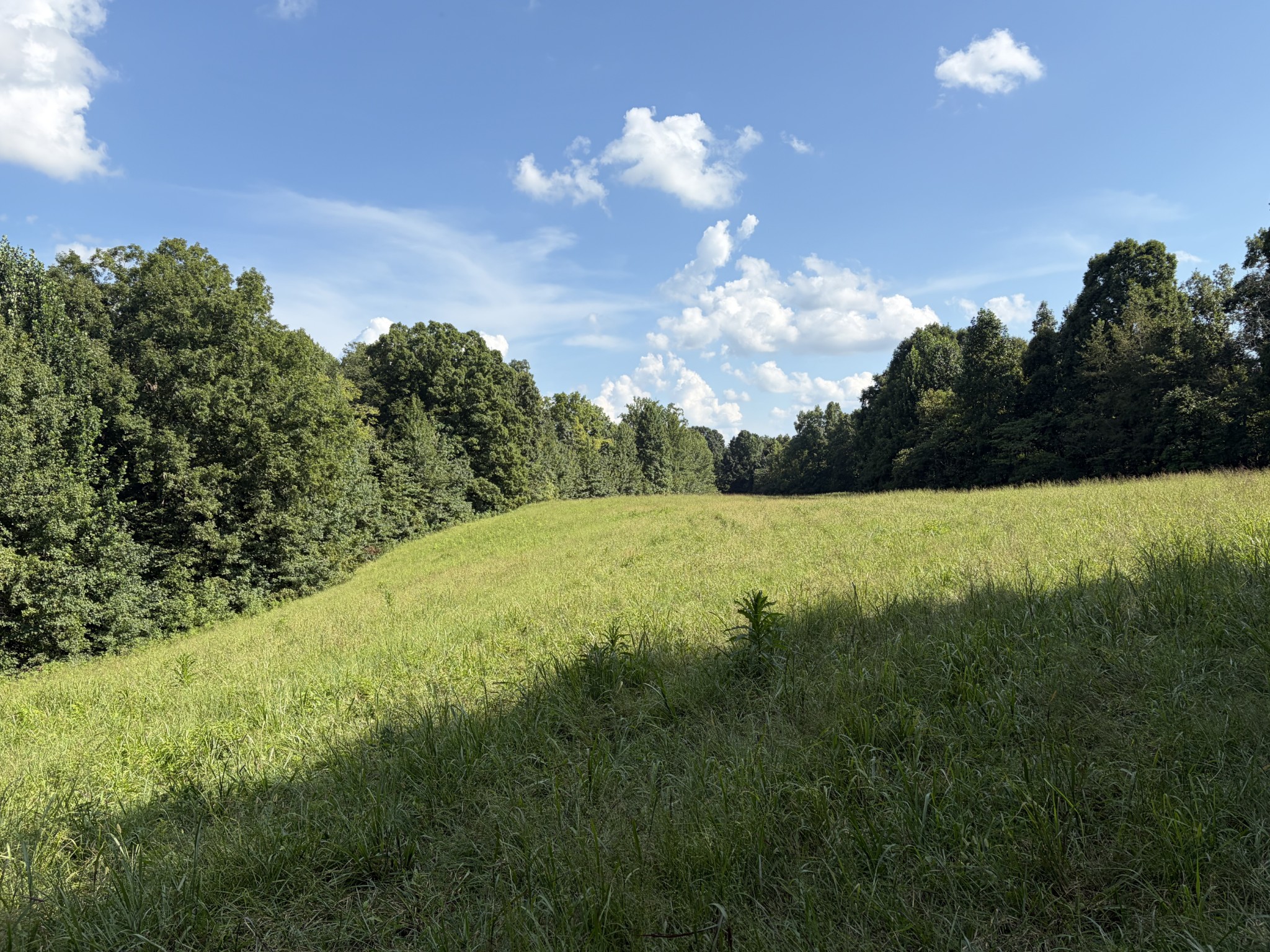 1448 Williams Hollow Rd