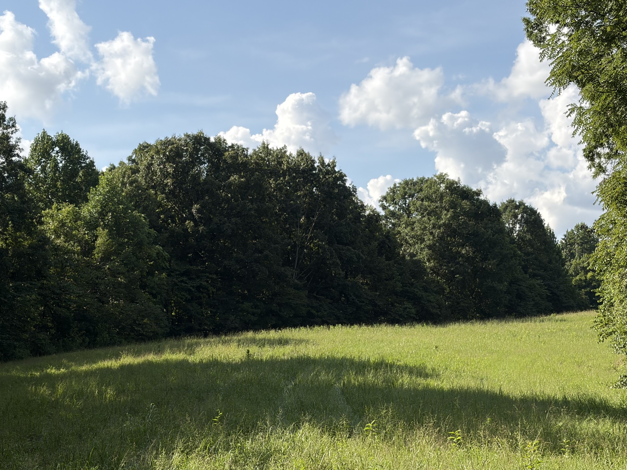 1448 Williams Hollow Rd
