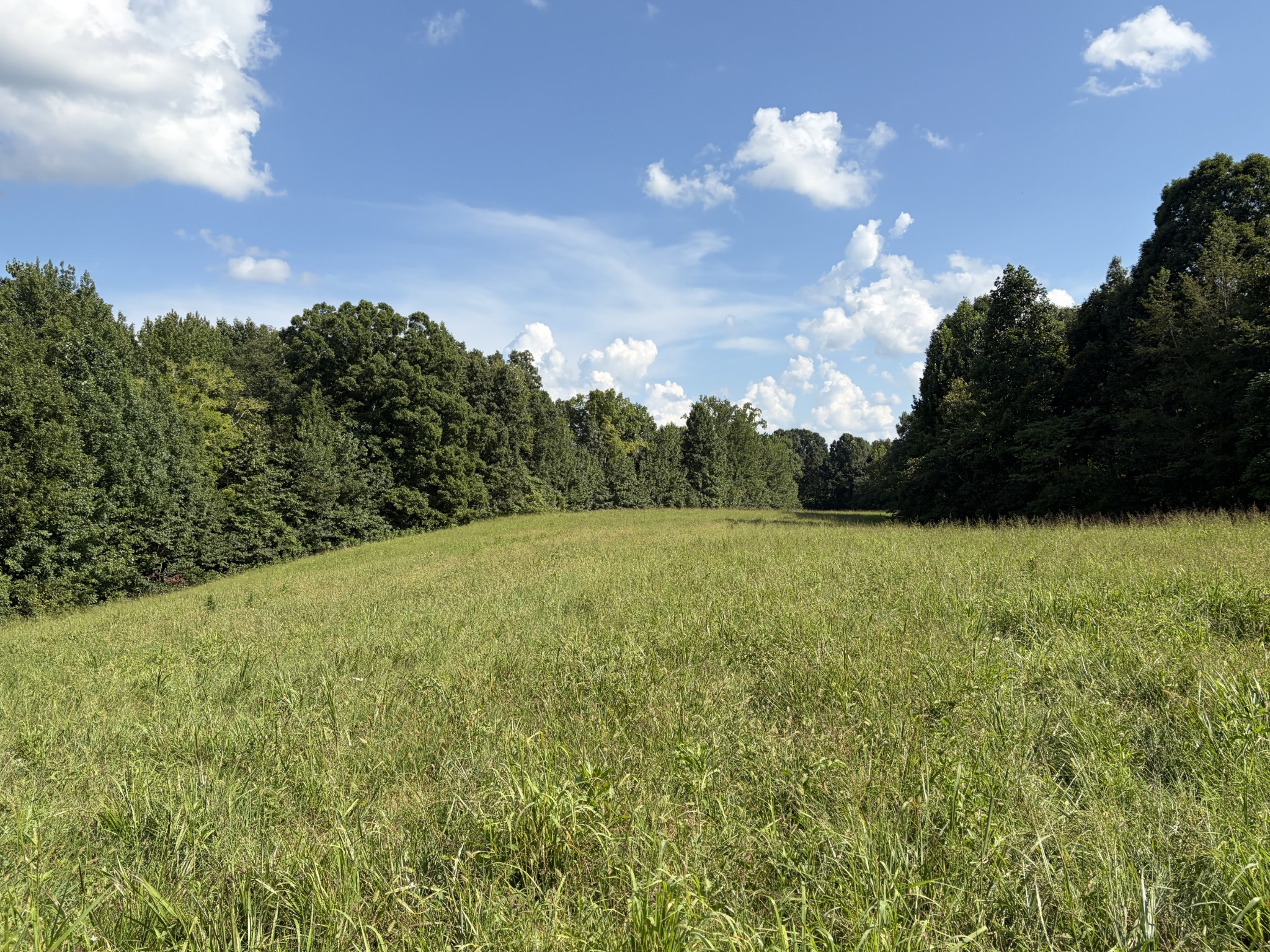 1448 Williams Hollow Rd
