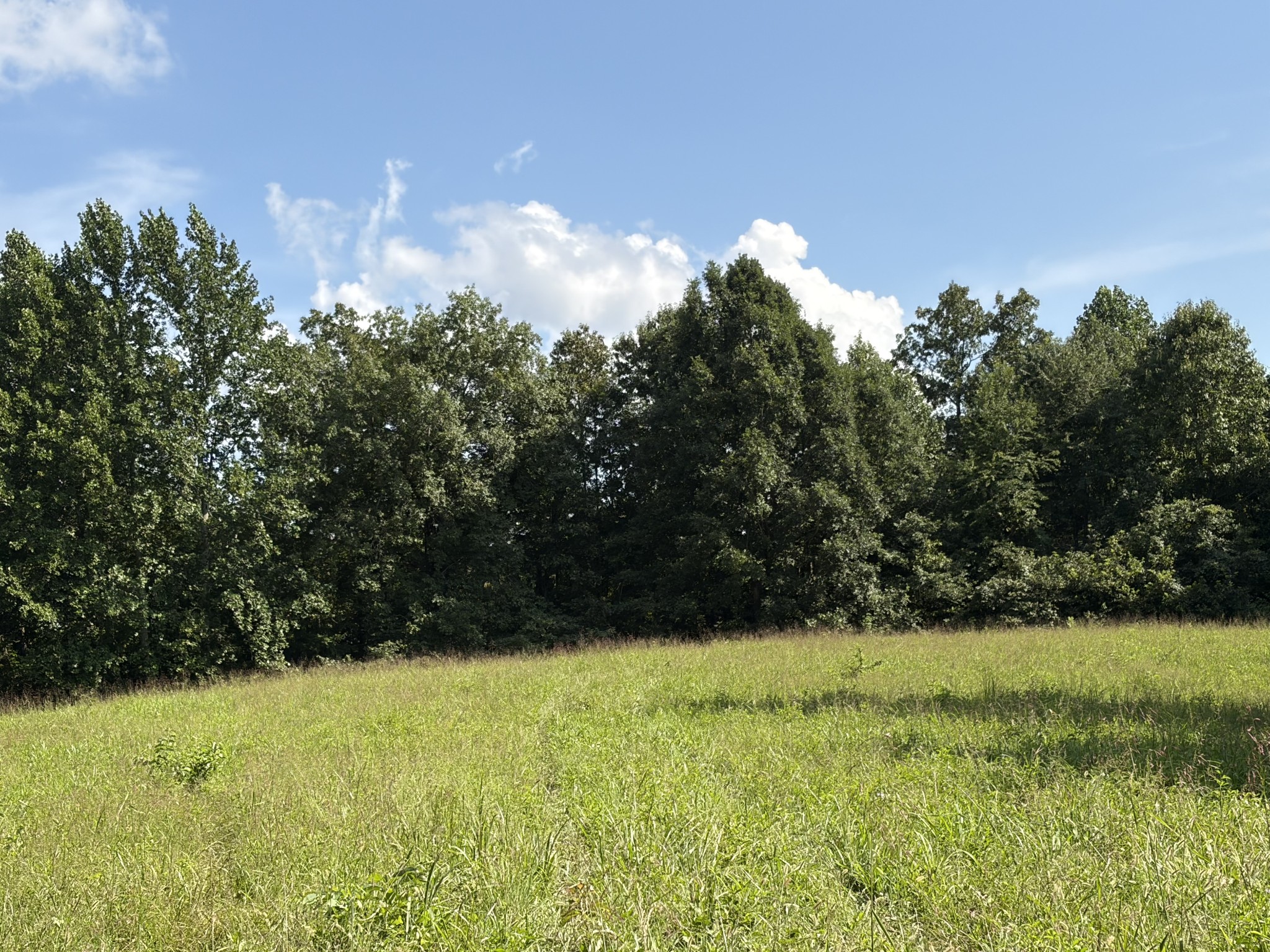 1448 Williams Hollow Rd
