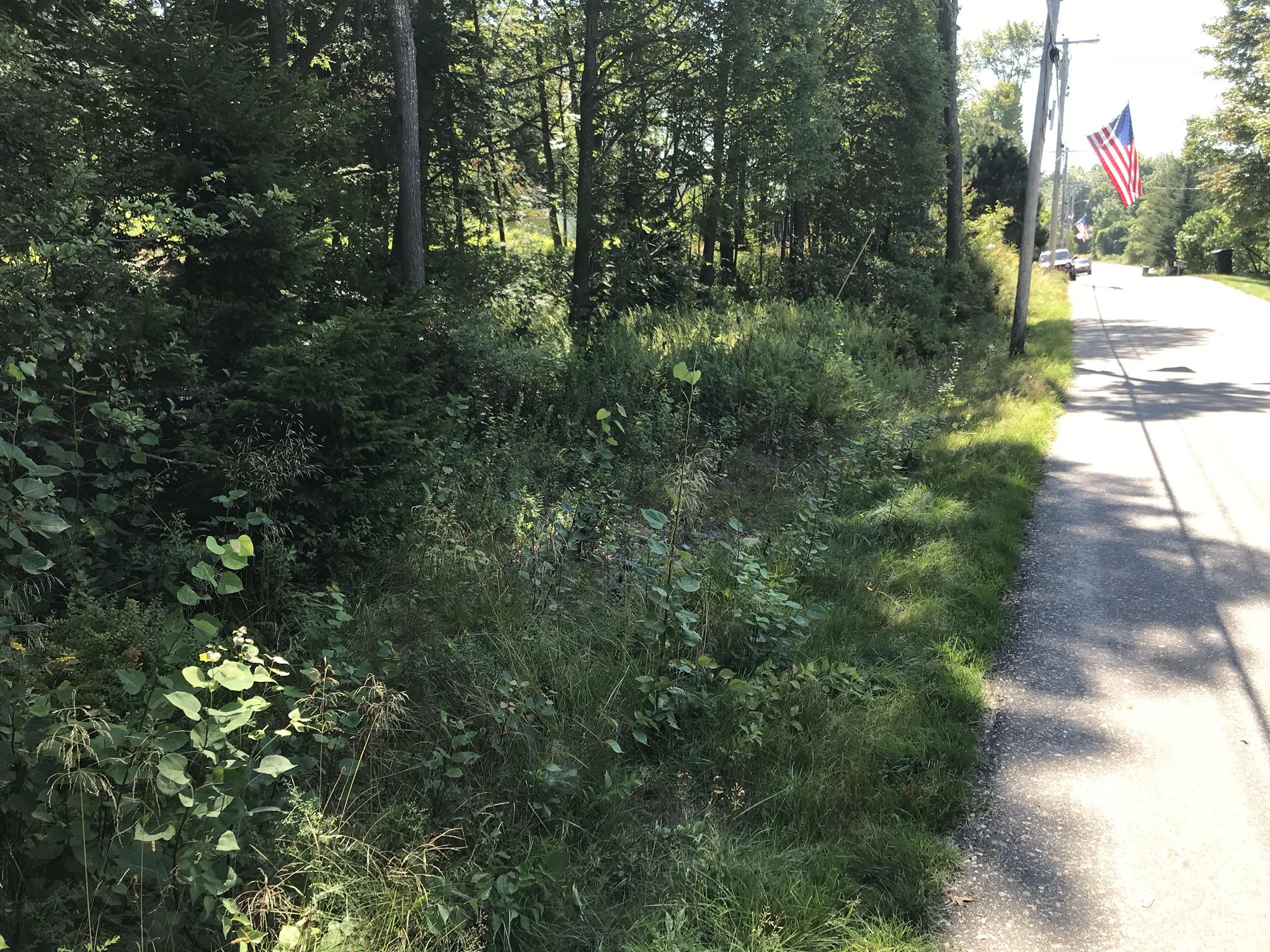 Lot 806 Island Avenue