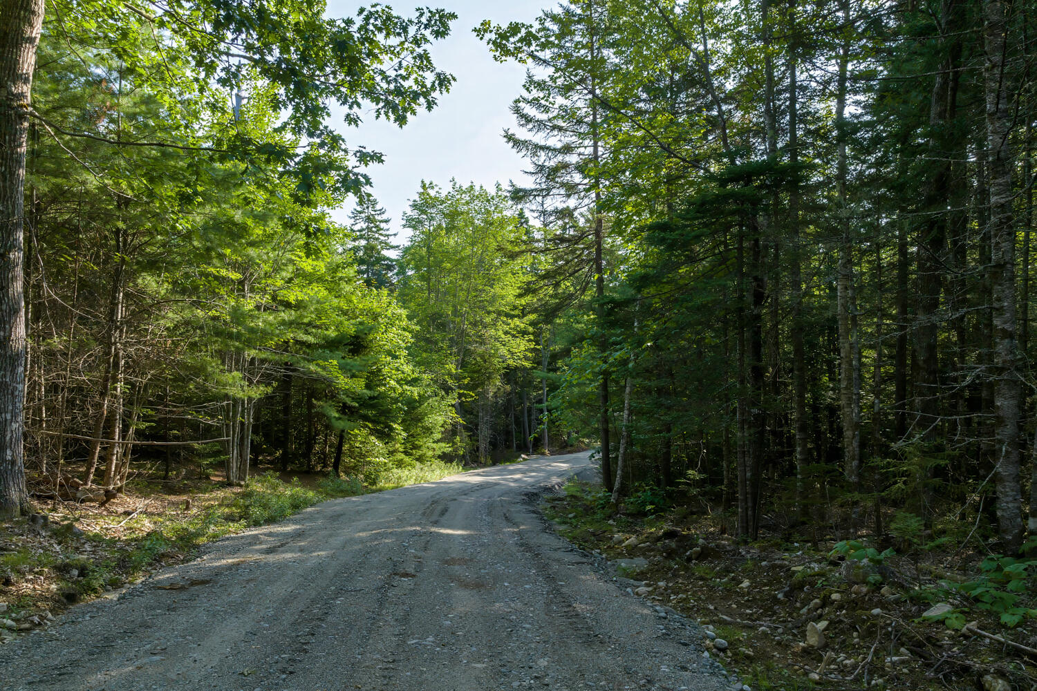 Map 10 Patty Lot Road