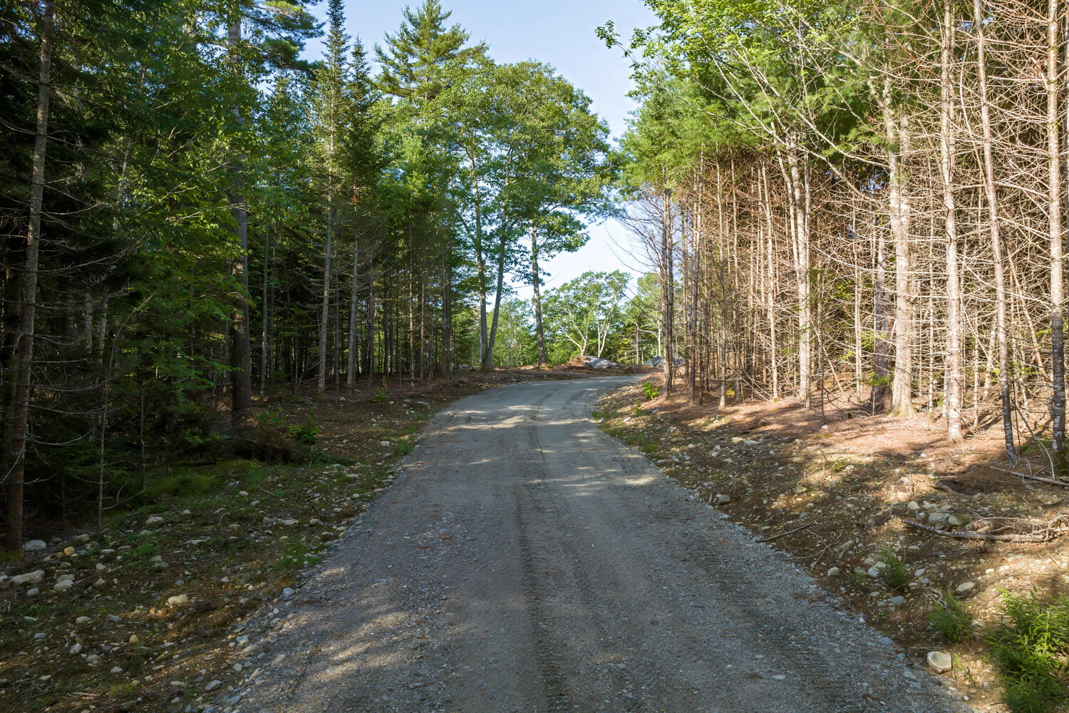 Map 10 Patty Lot Road