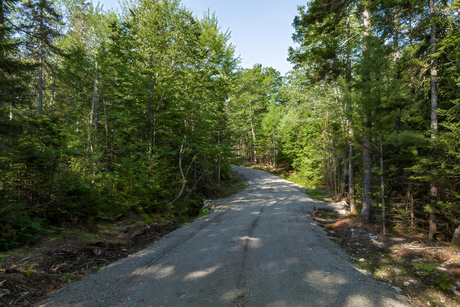 Map 10 Patty Lot Road