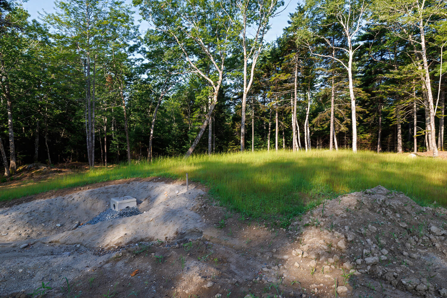Map 10 Patty Lot Road