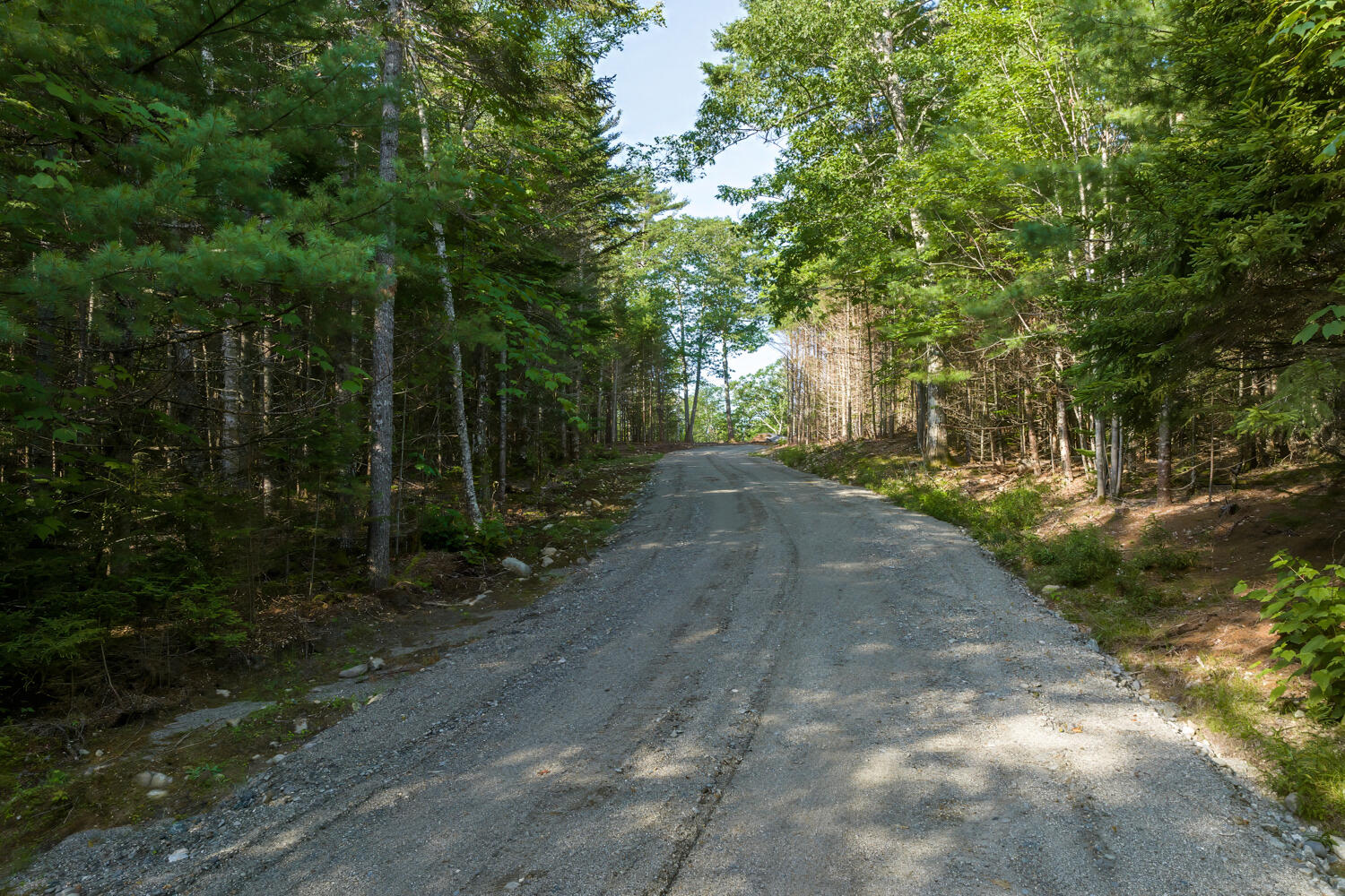 Map 10 Patty Lot Road
