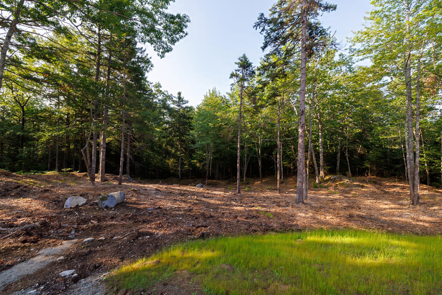 Map 10 Patty Lot Road