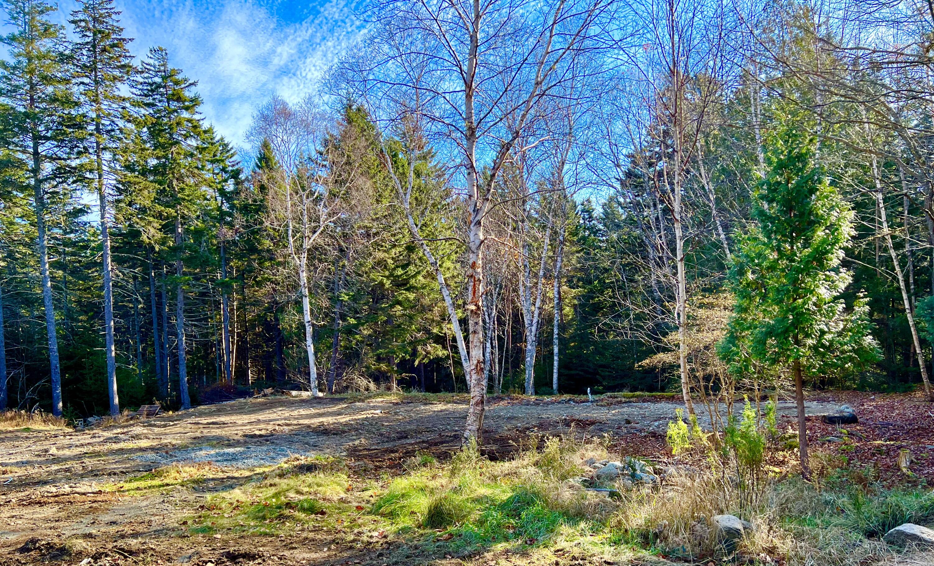 56 Dodge Point Road