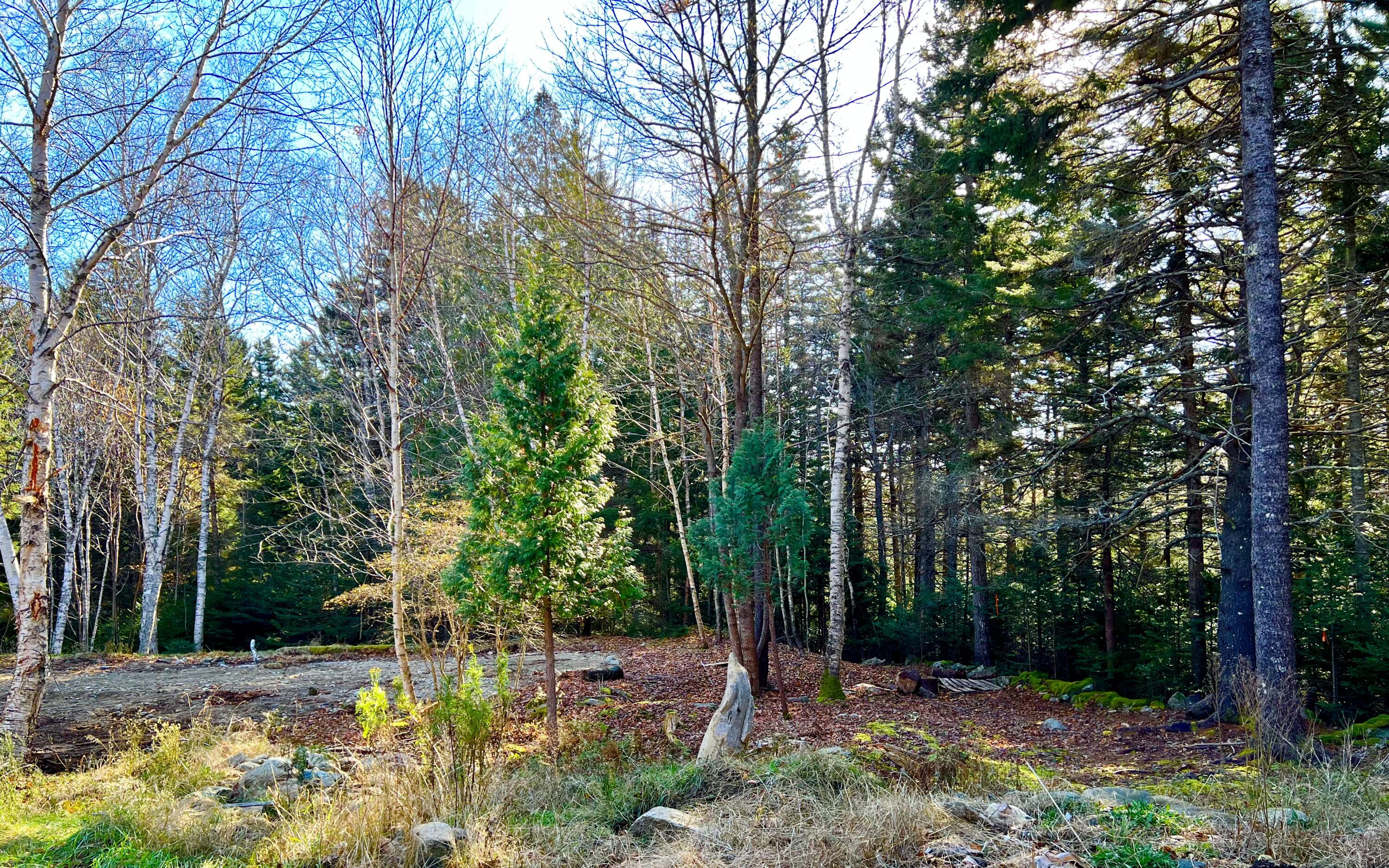 56 Dodge Point Road