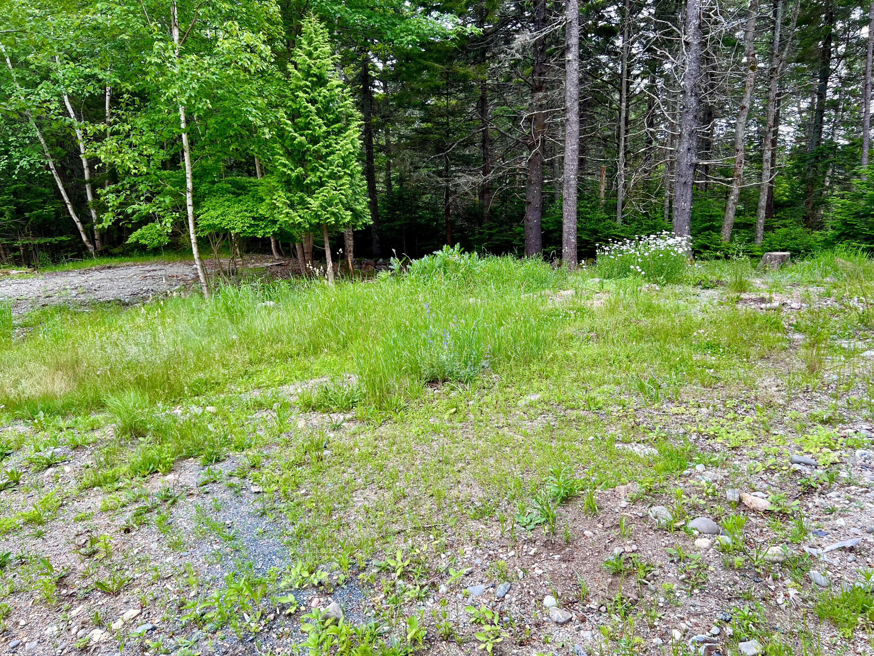56 Dodge Point Road