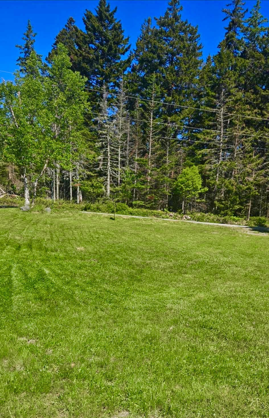 56 Dodge Point Road