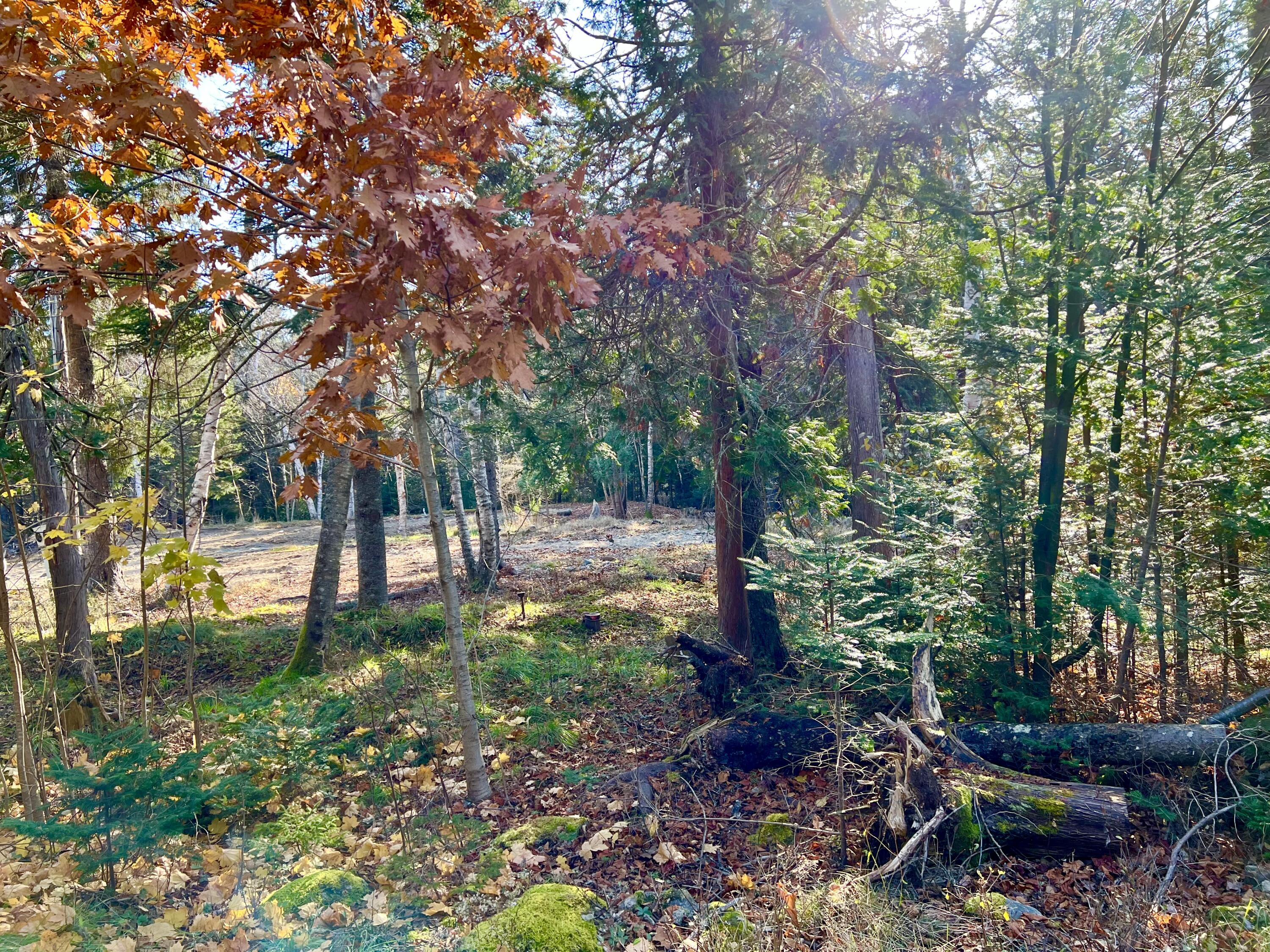 56 Dodge Point Road
