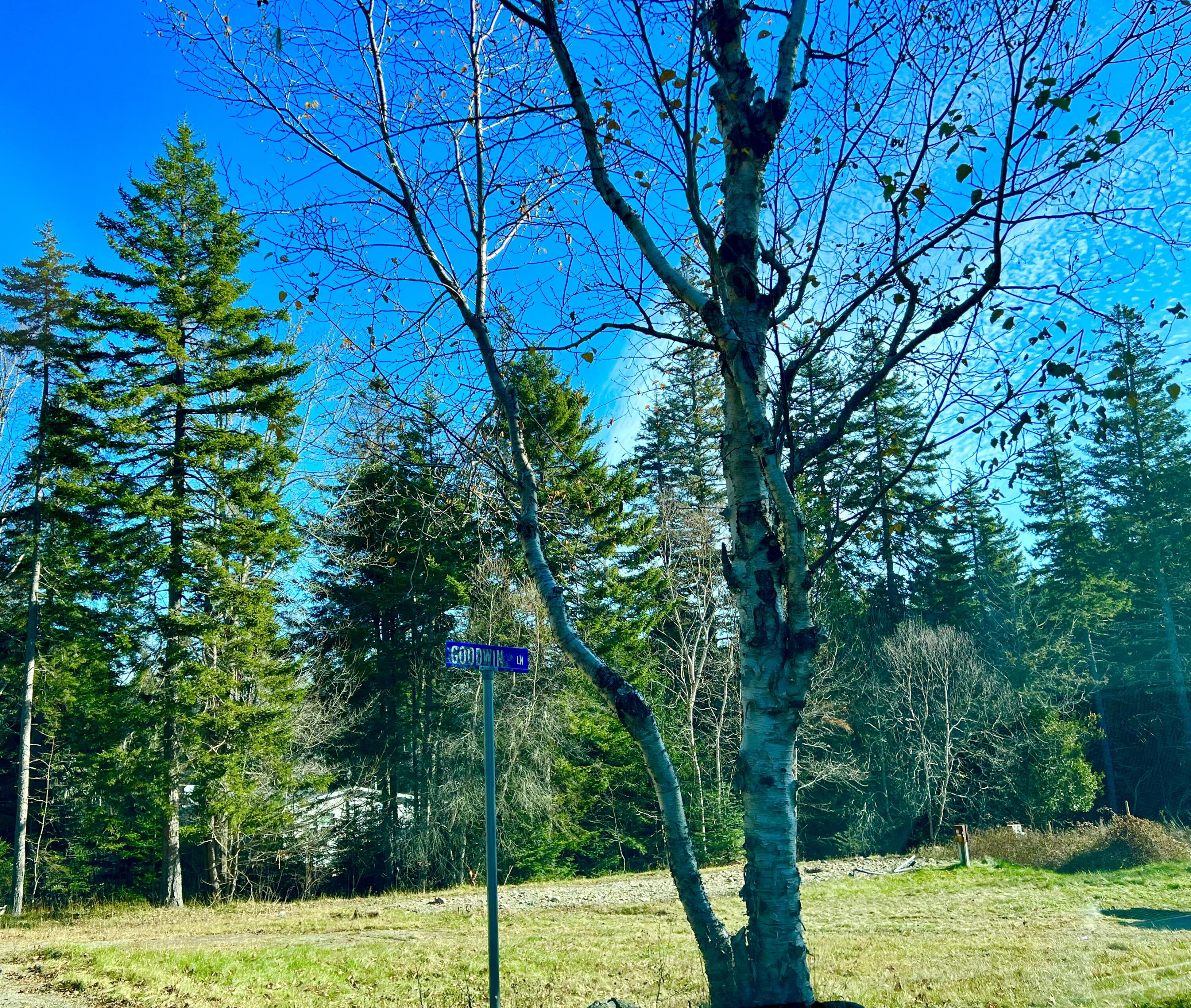 56 Dodge Point Road