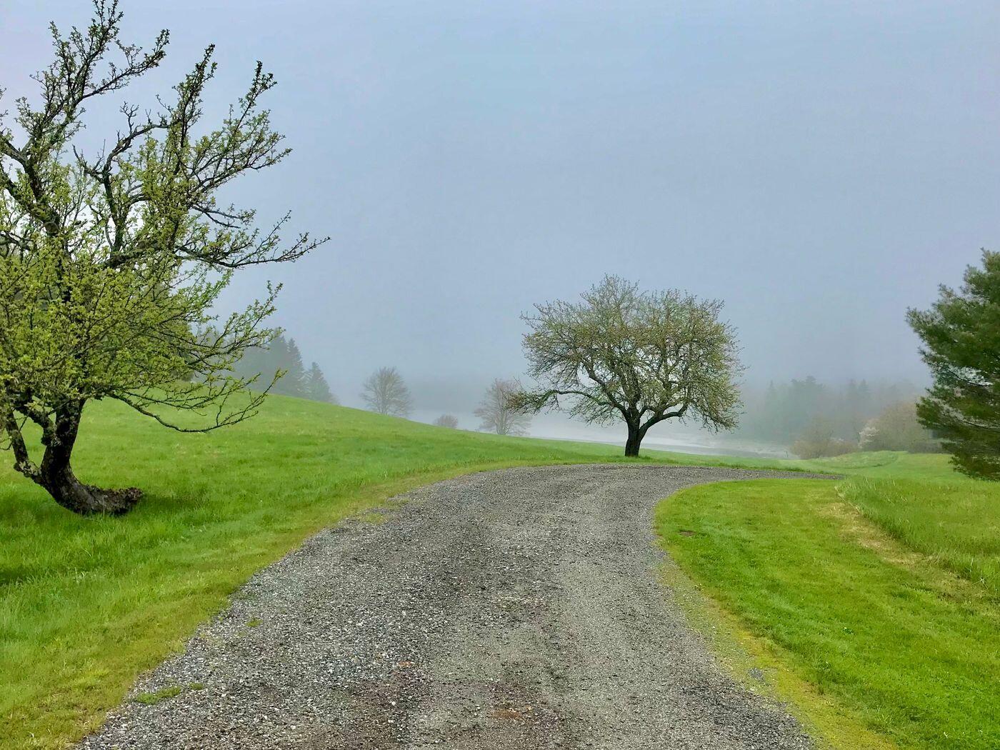 15 Gray Farm Road