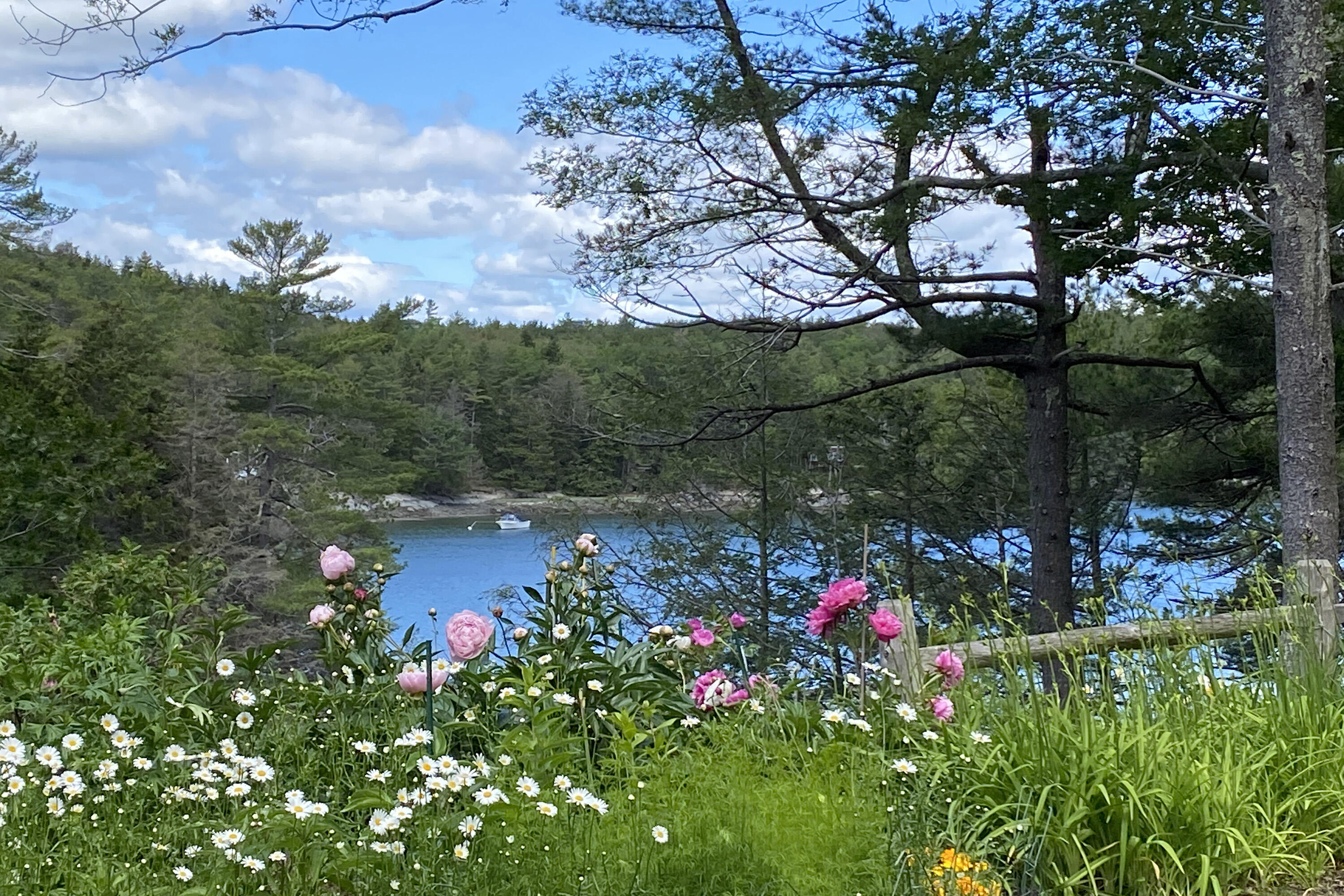 82 Rockweed Road