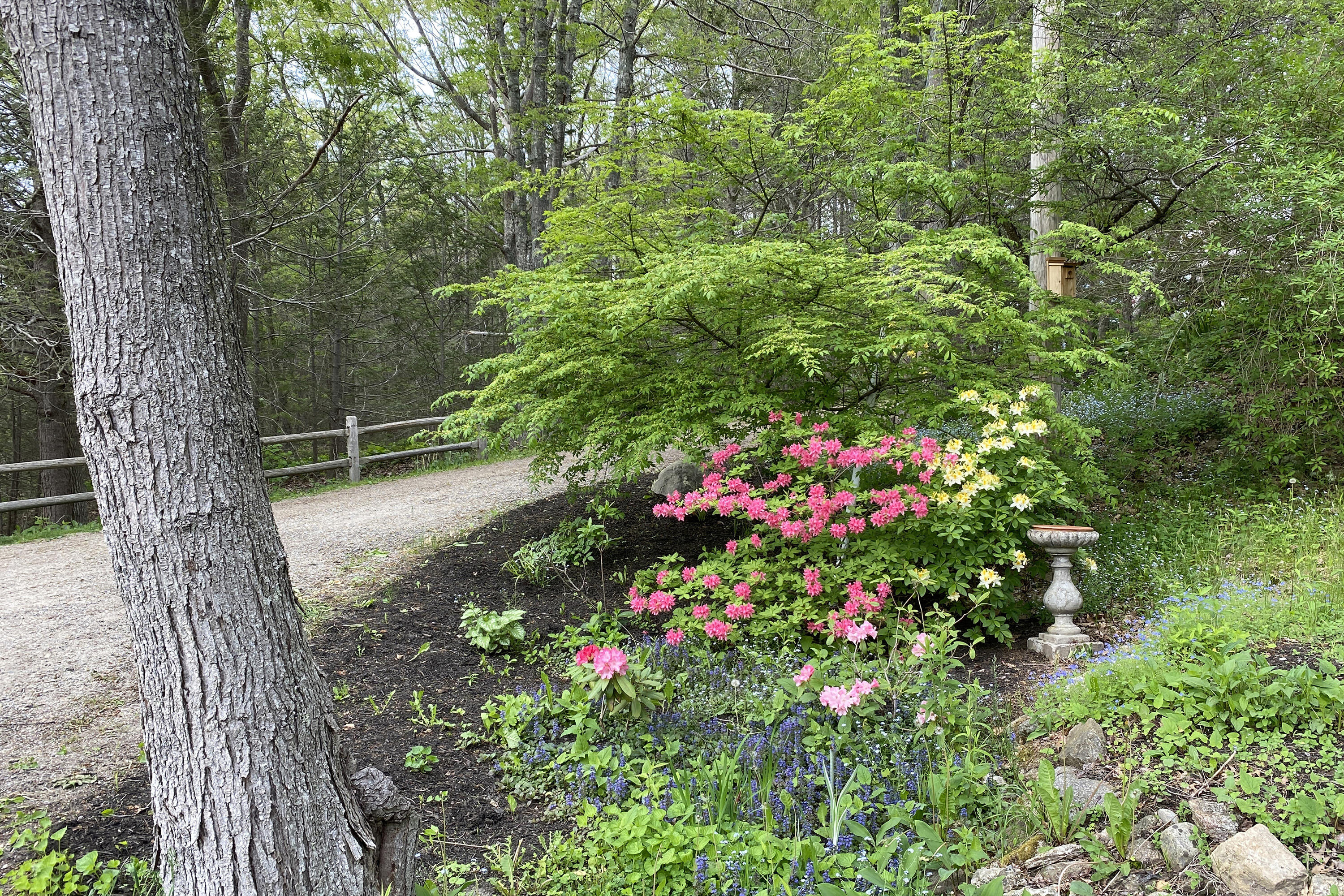82 Rockweed Road