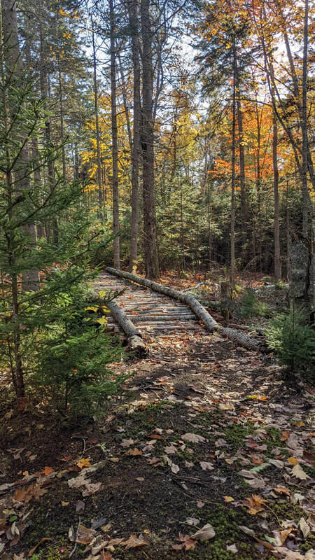 880 Castine Road