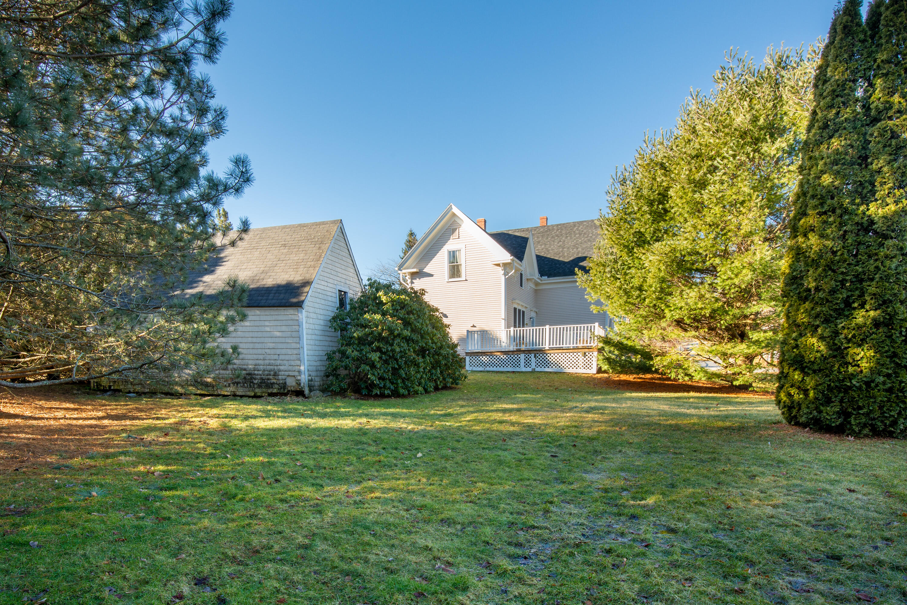 10 Willow Street