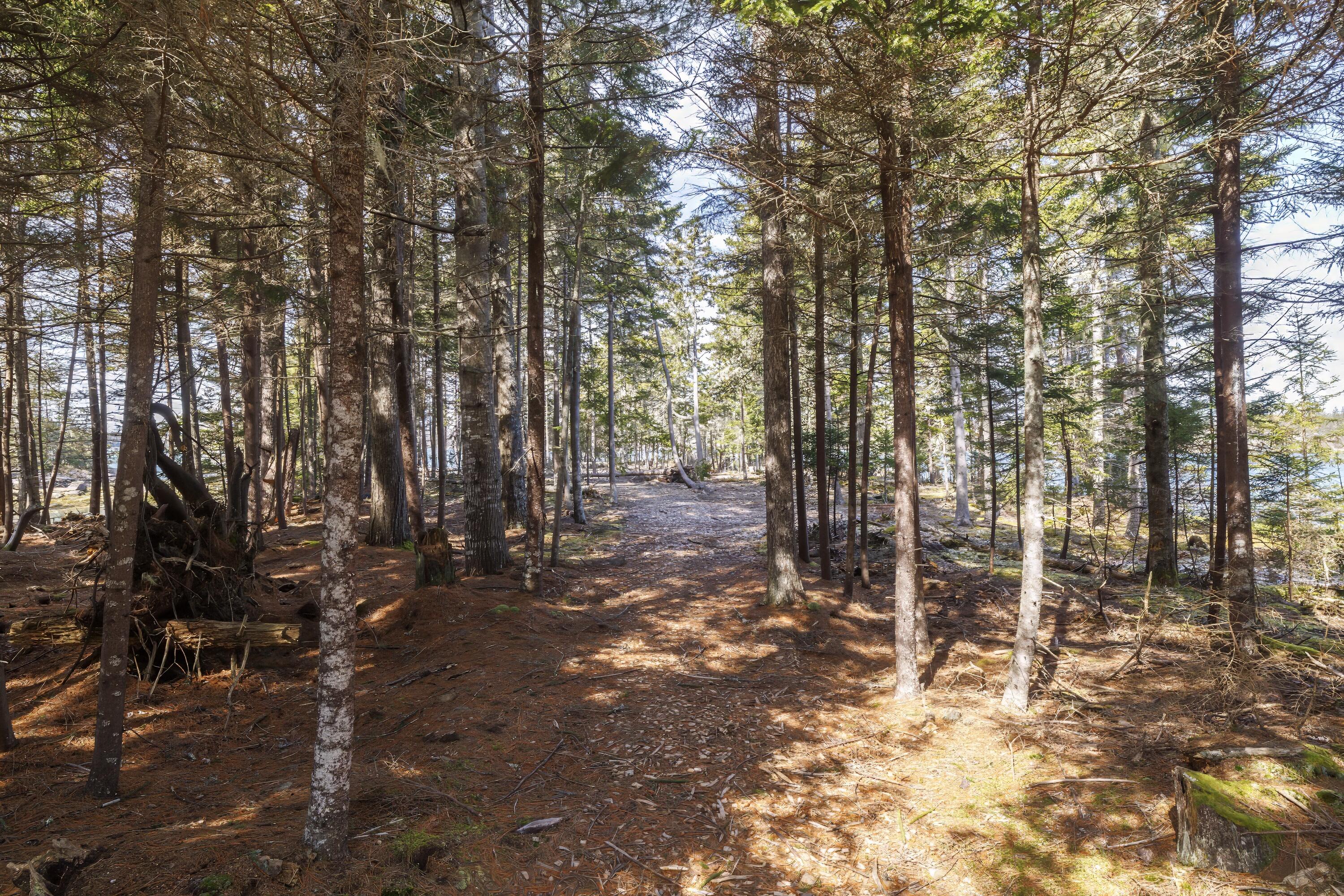 136 Cat Cove Road
