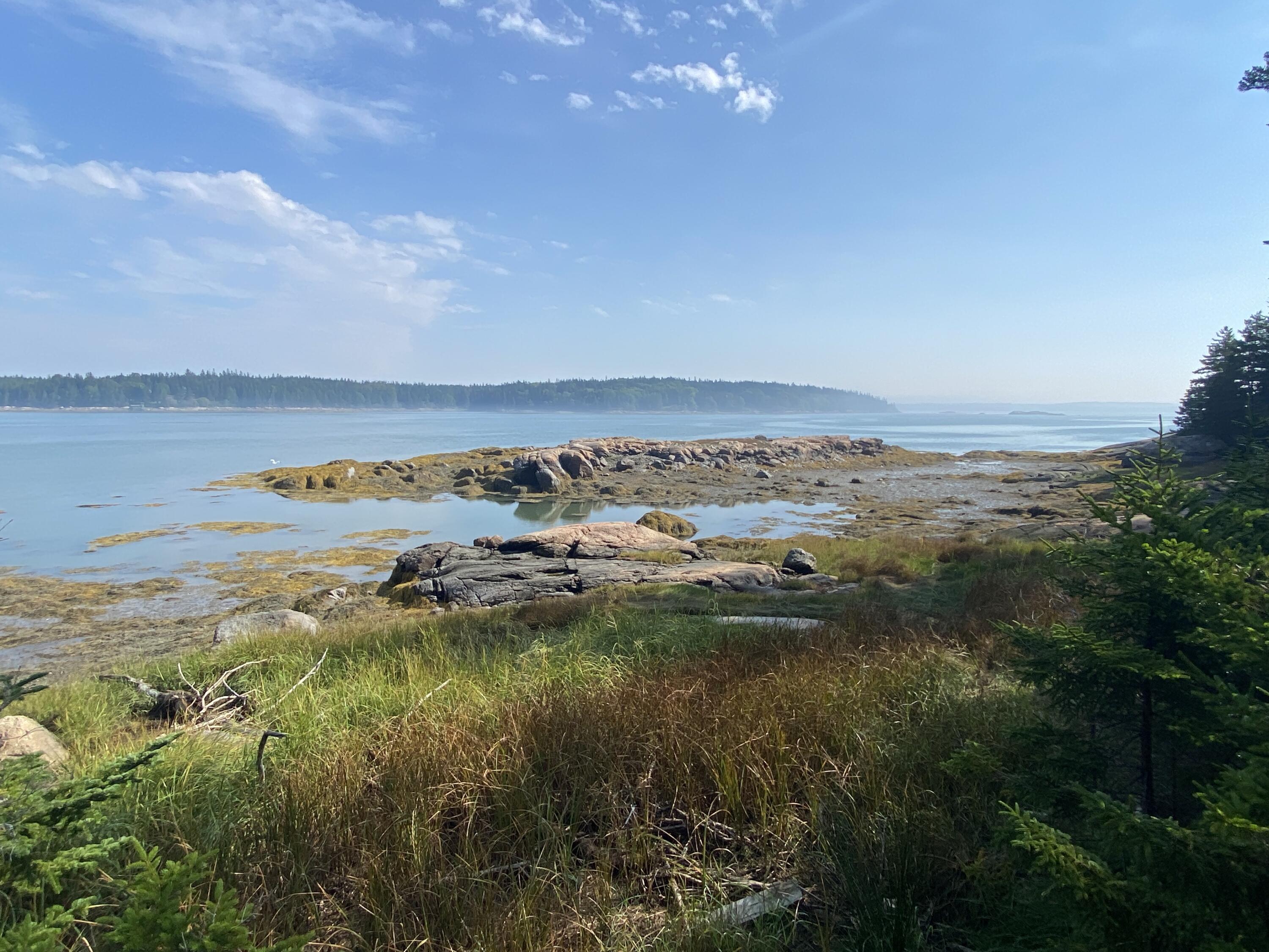 136 Cat Cove Road