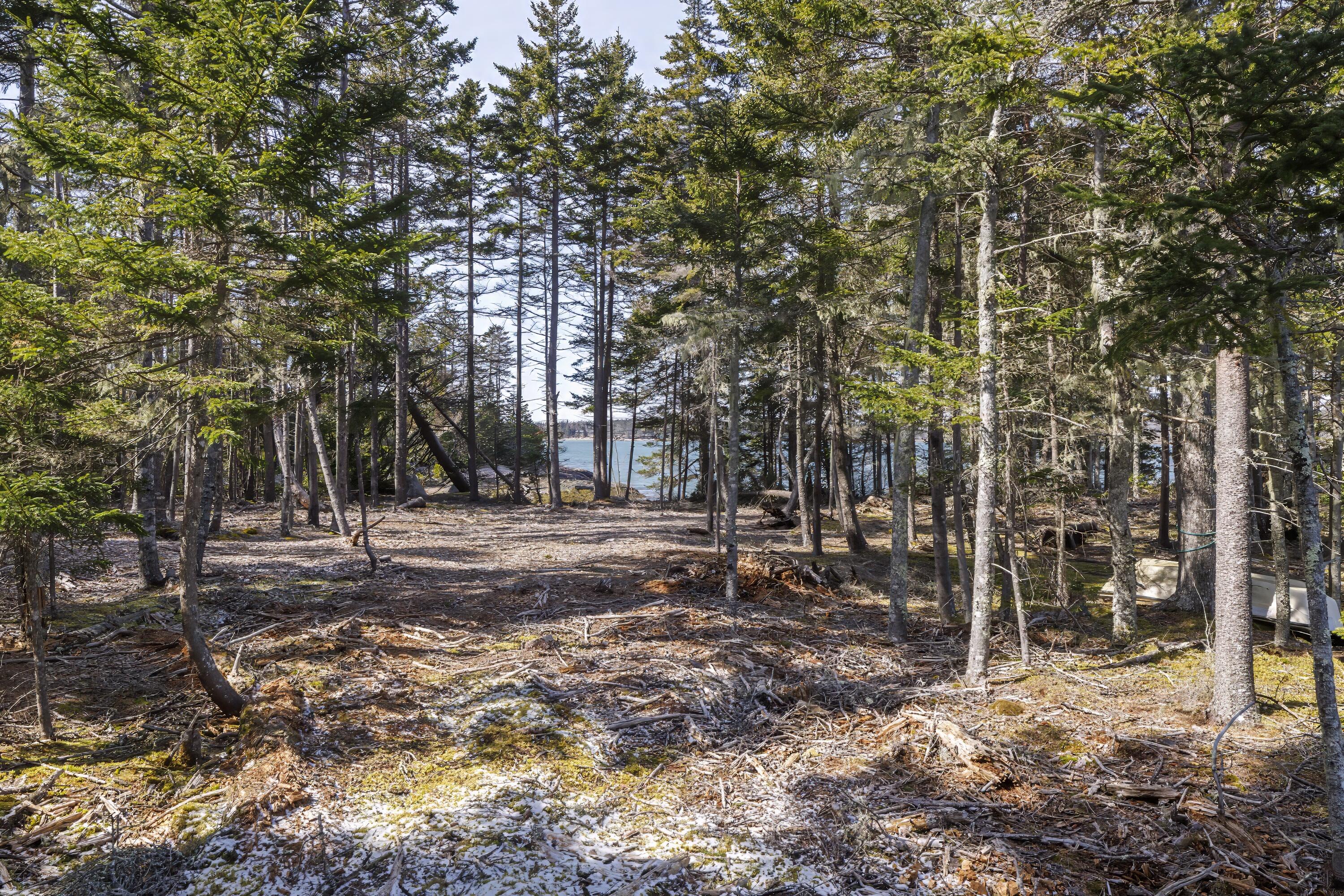 136 Cat Cove Road