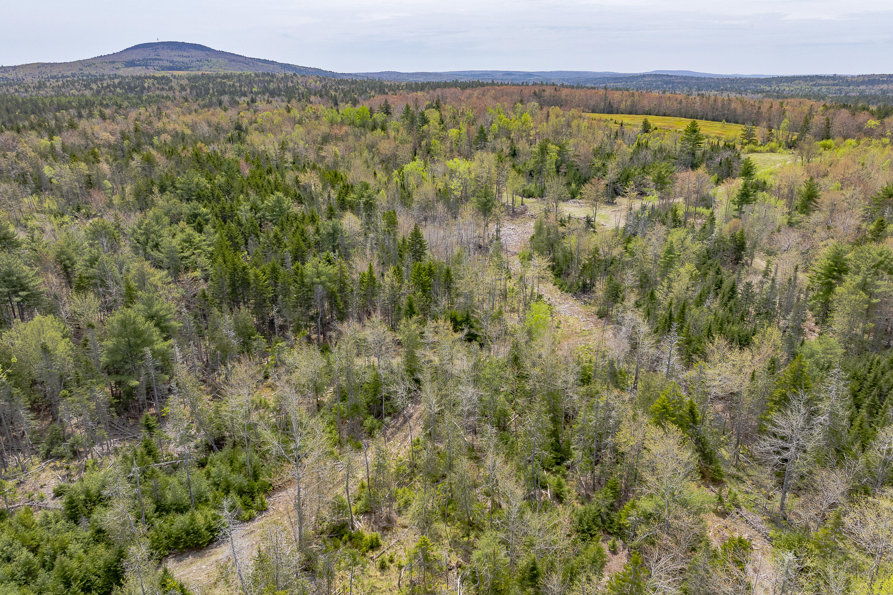 475A Range Road