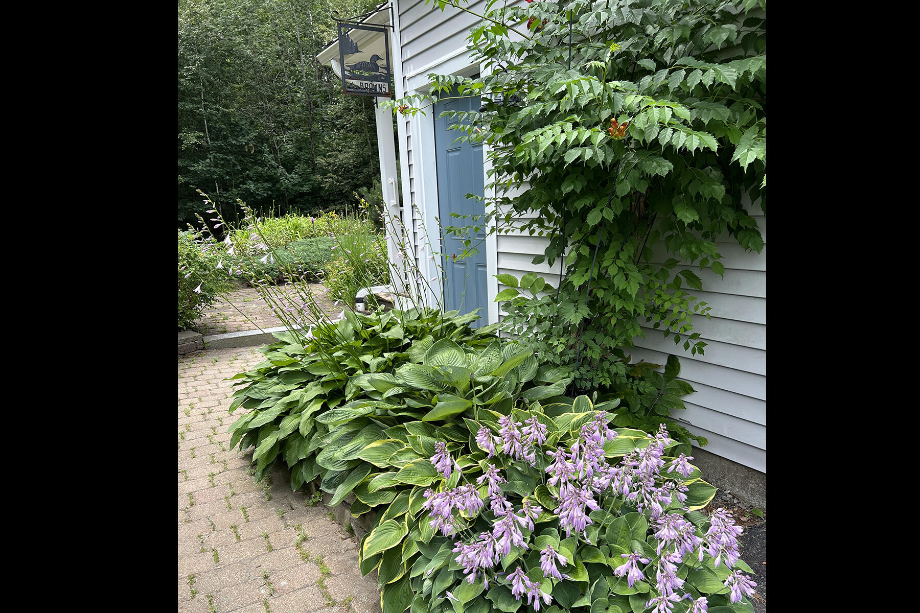 52 Puritan Lane