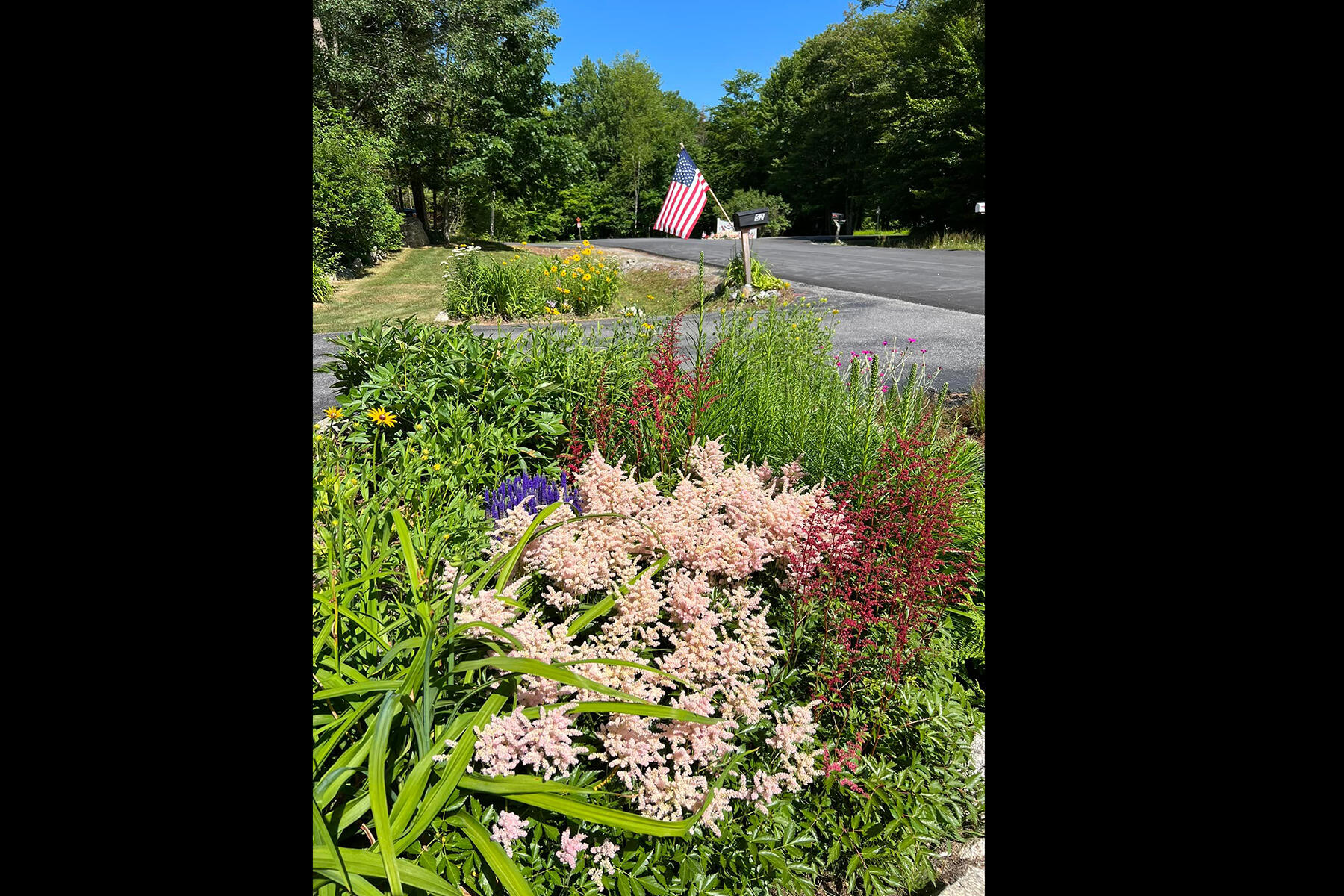 52 Puritan Lane
