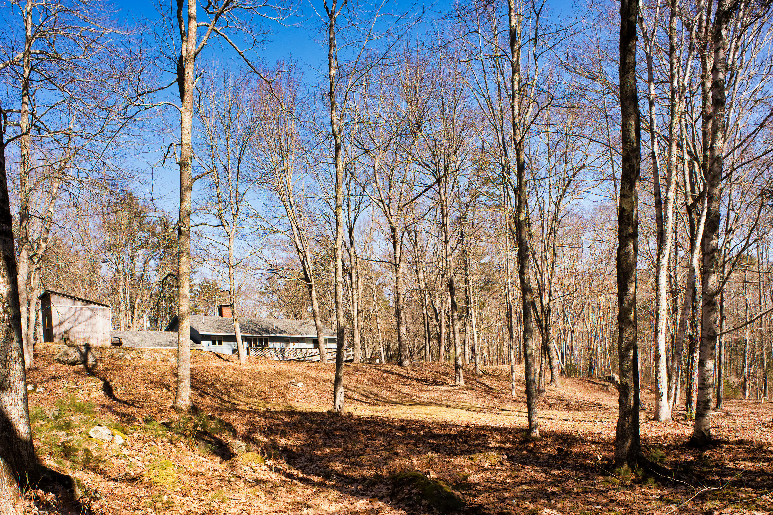 56 Lessner Road