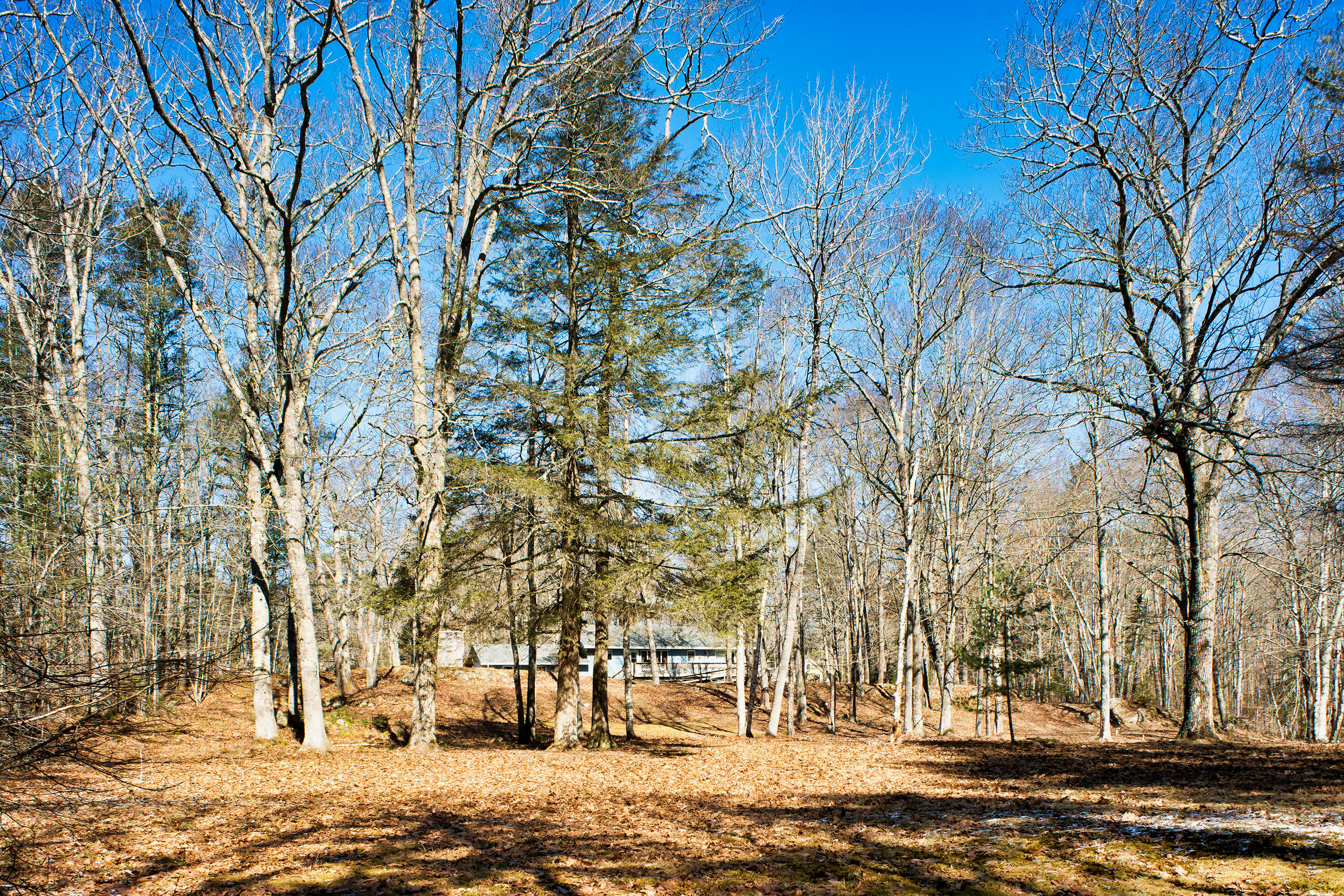 56 Lessner Road