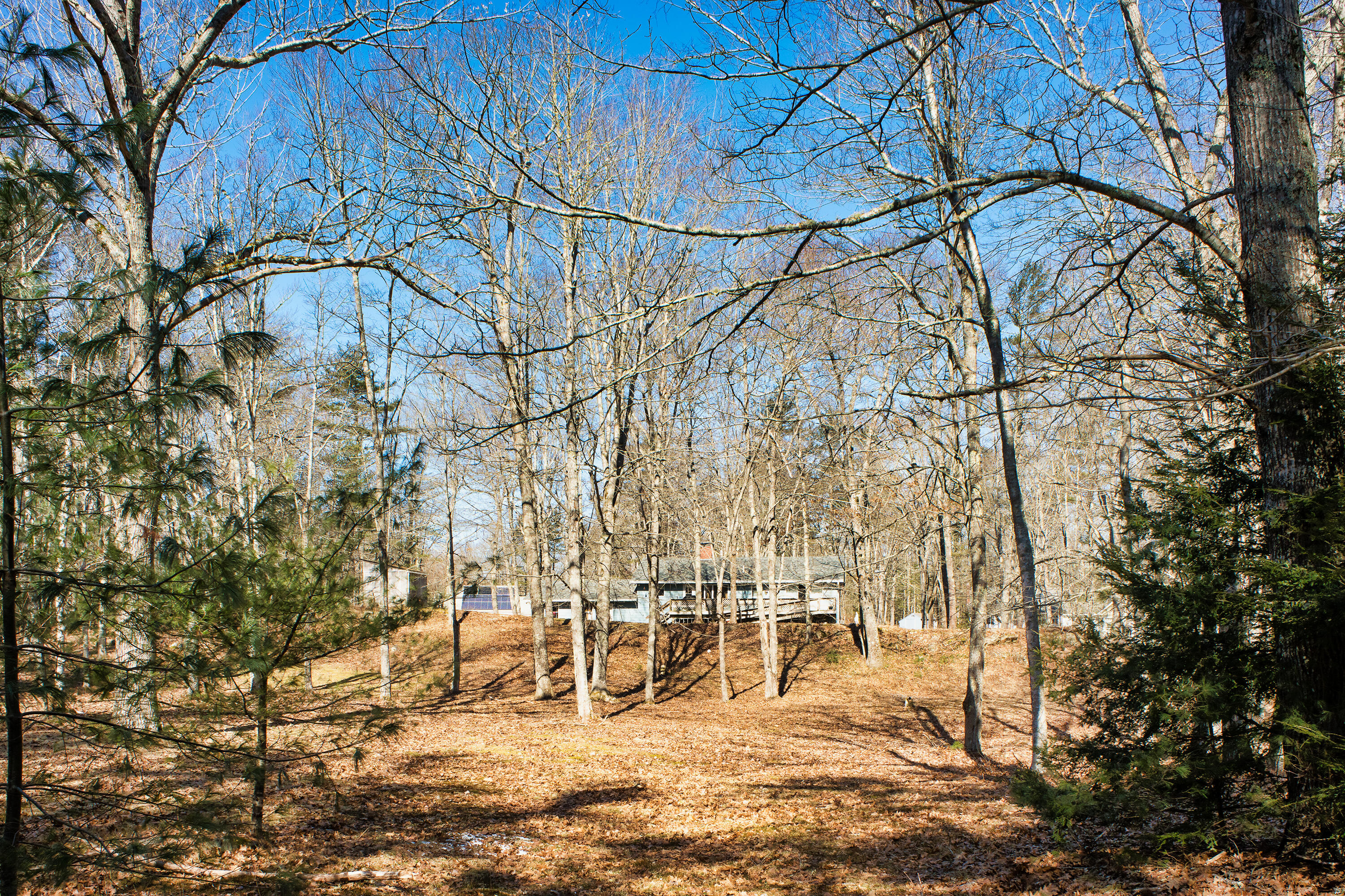56 Lessner Road