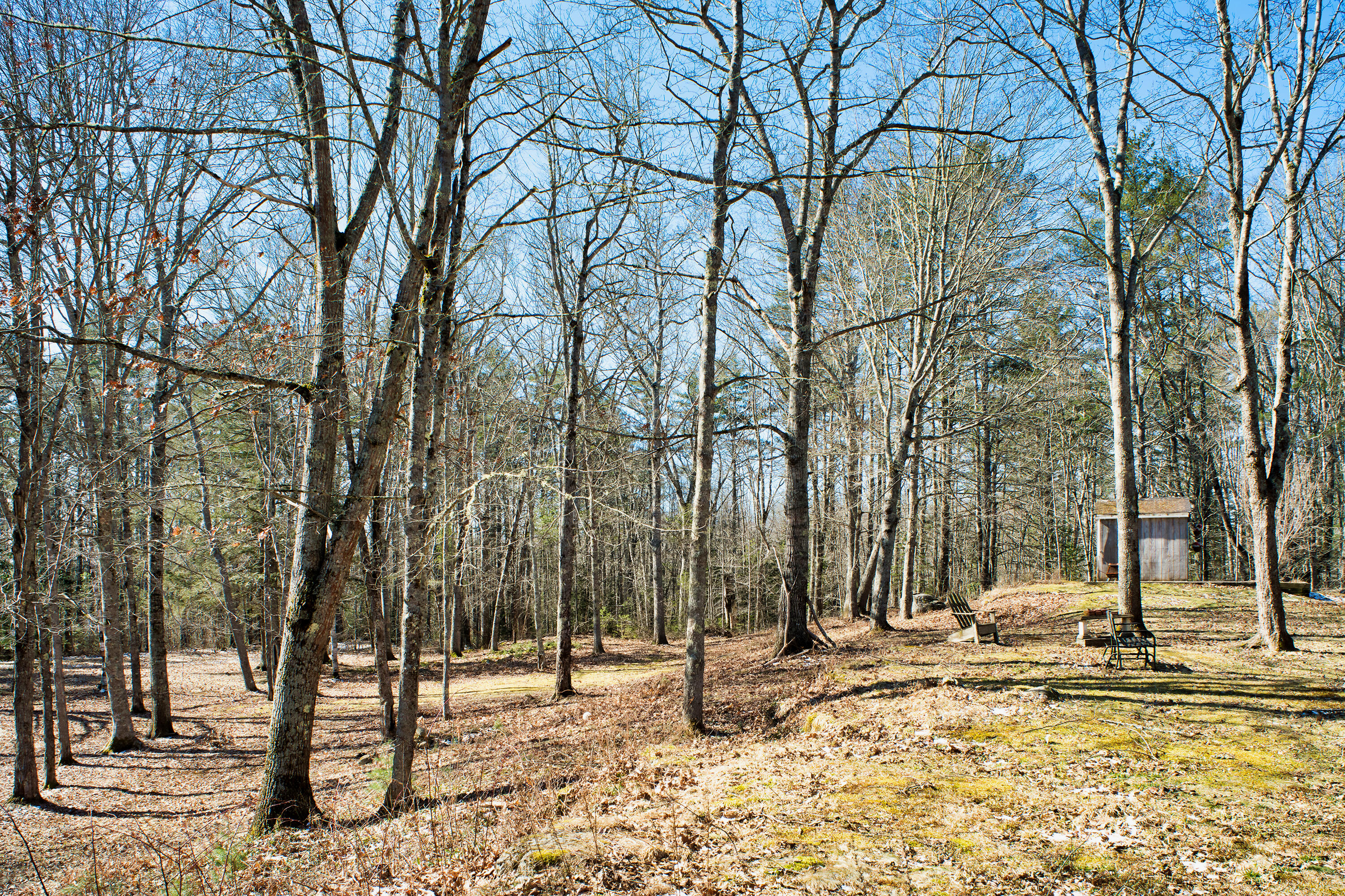 56 Lessner Road