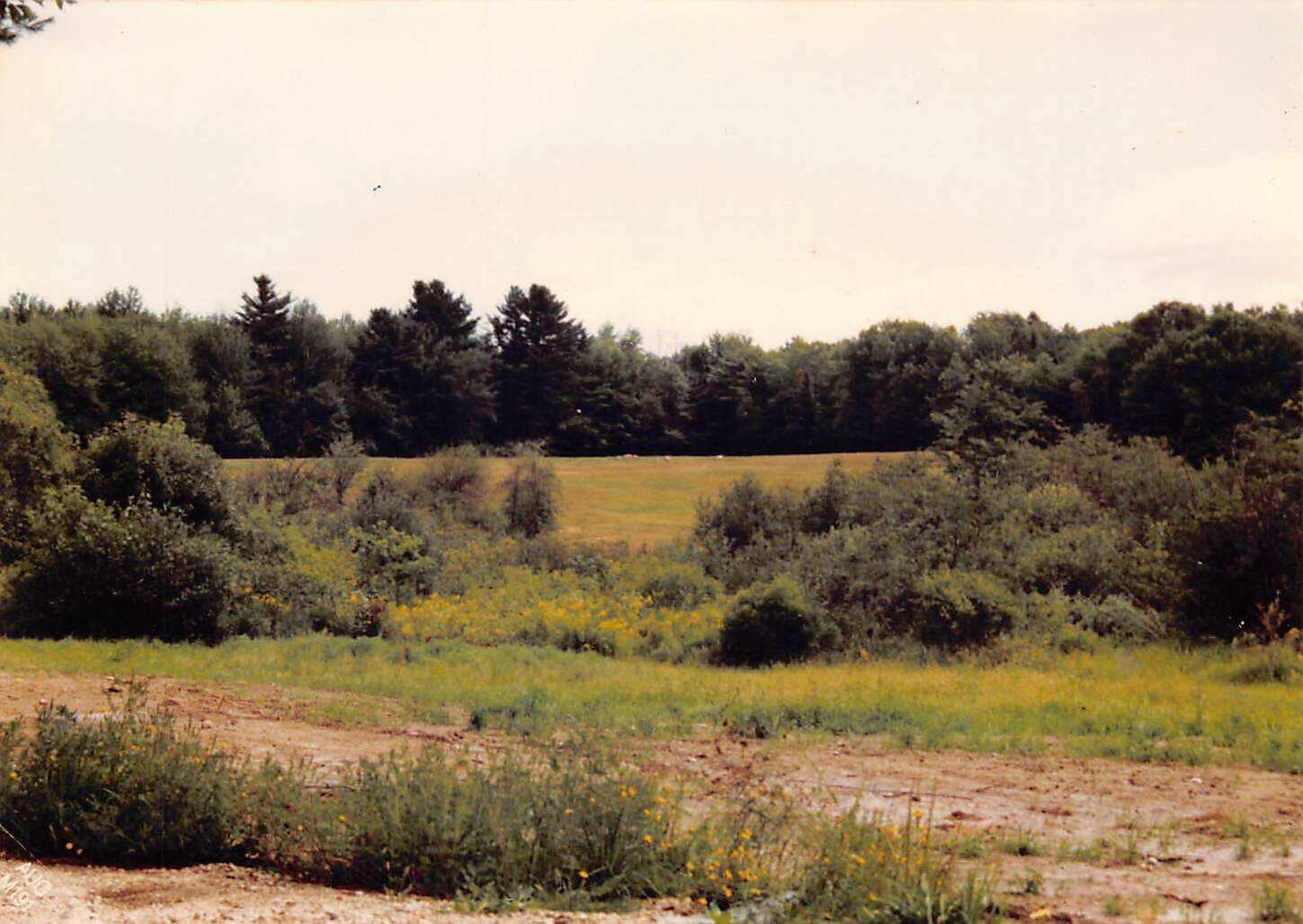 645 Hallowell Road