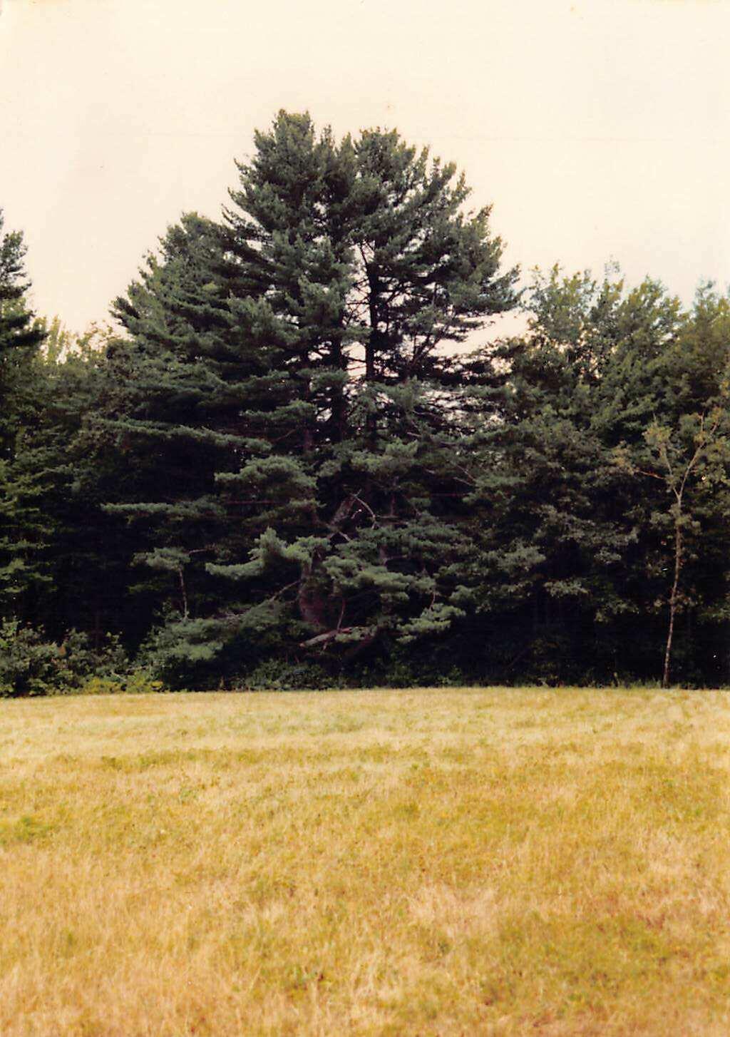 645 Hallowell Road