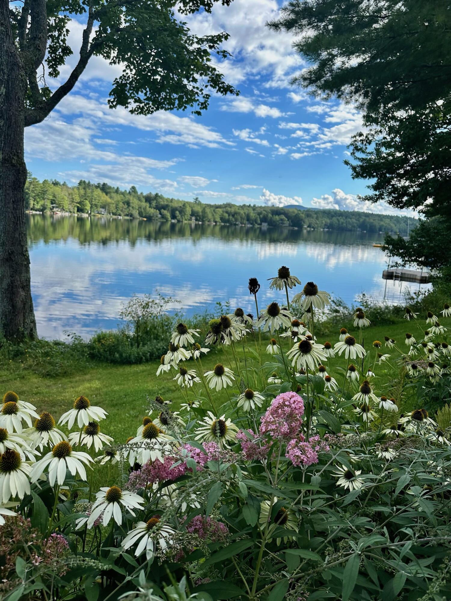 62 Norton Pond Road