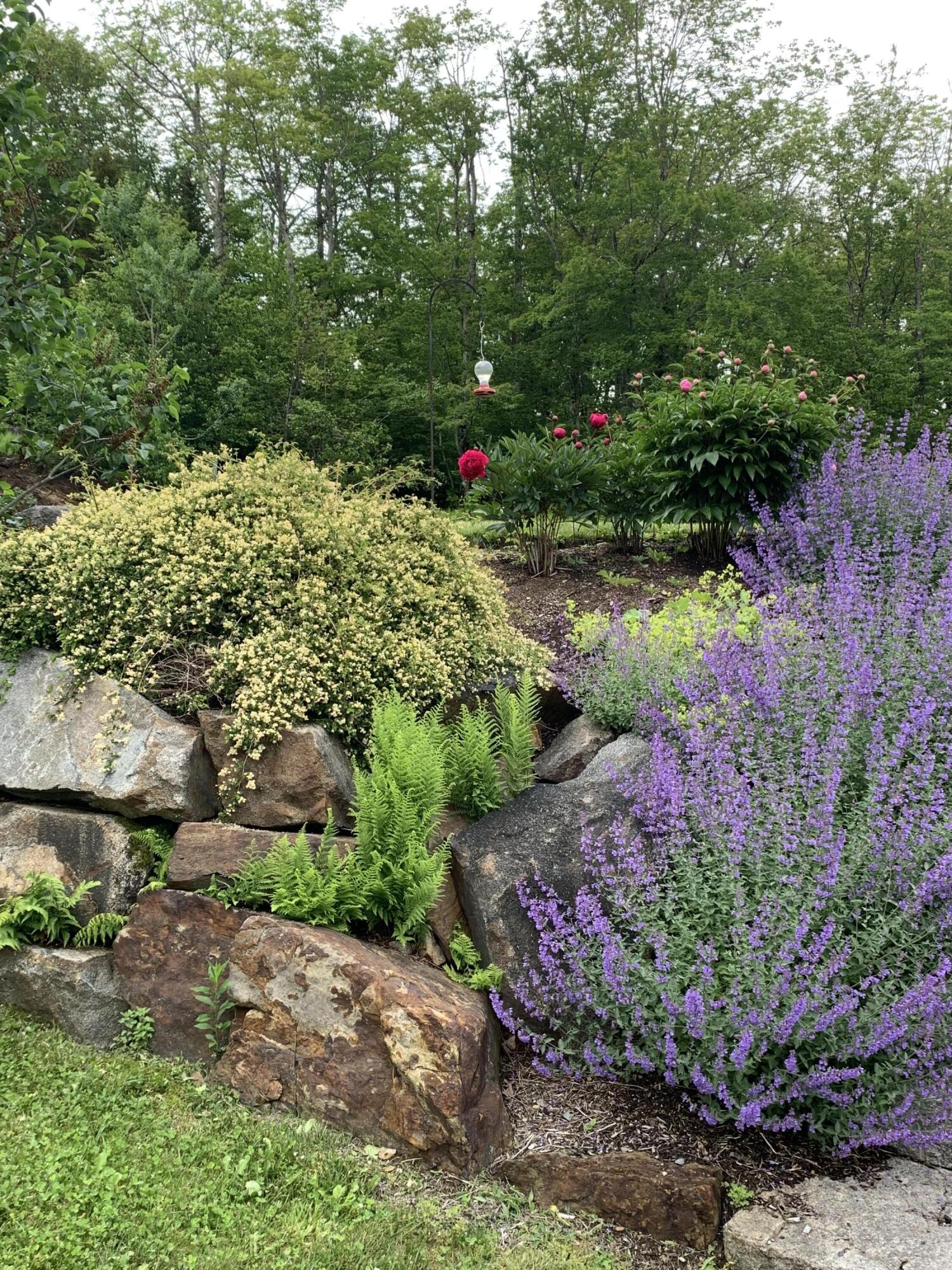 113 Stone Drive