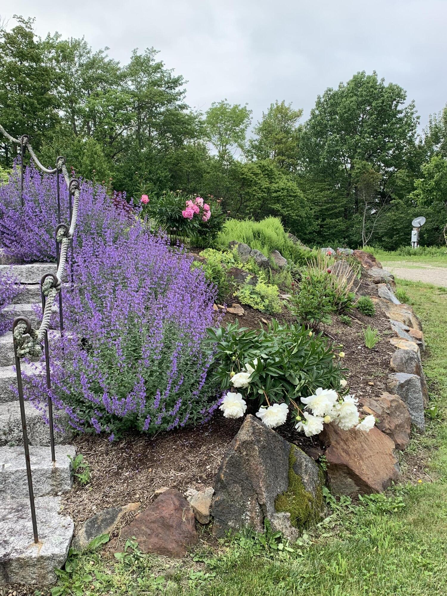 113 Stone Drive