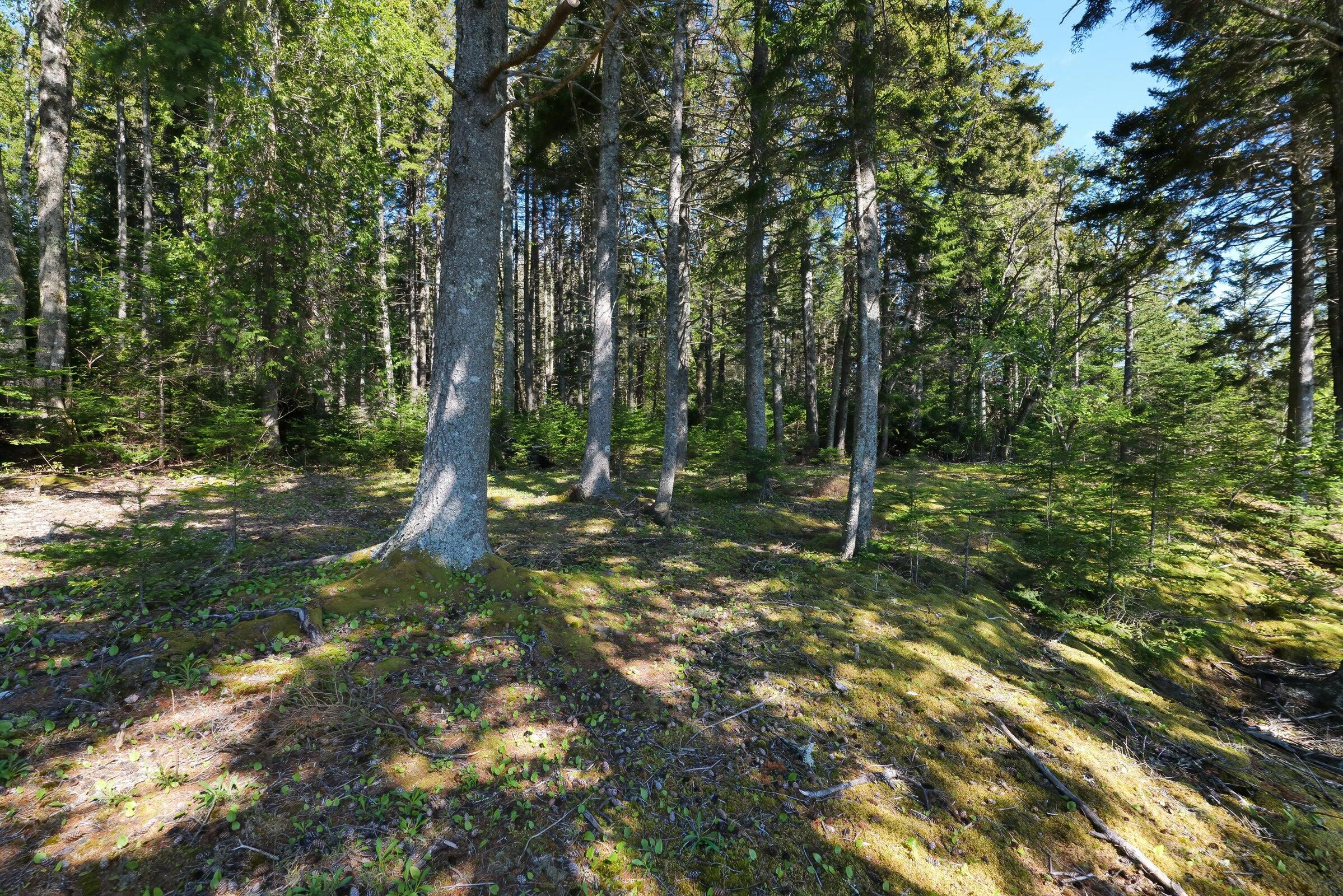 00 Gouldsboro Point Road
